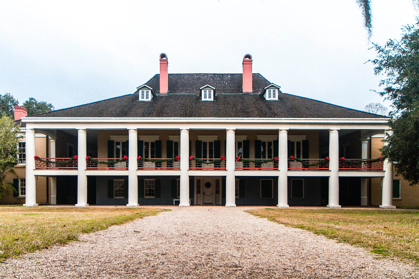New Orleans: Plantation and Swamp Tour