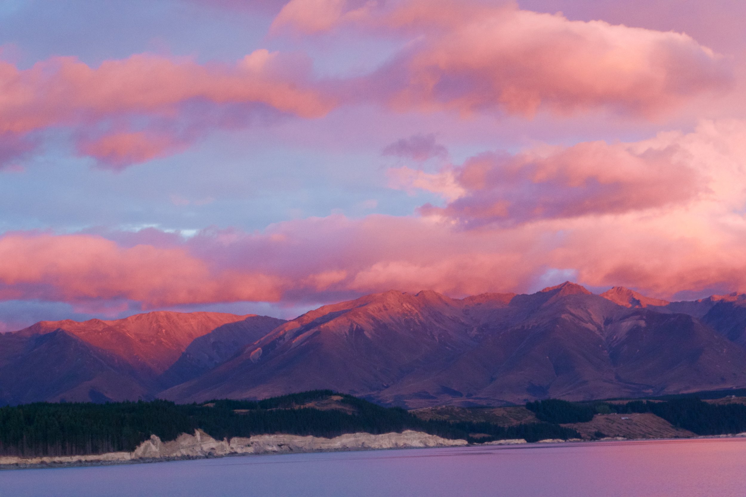  South Island, New Zealand 