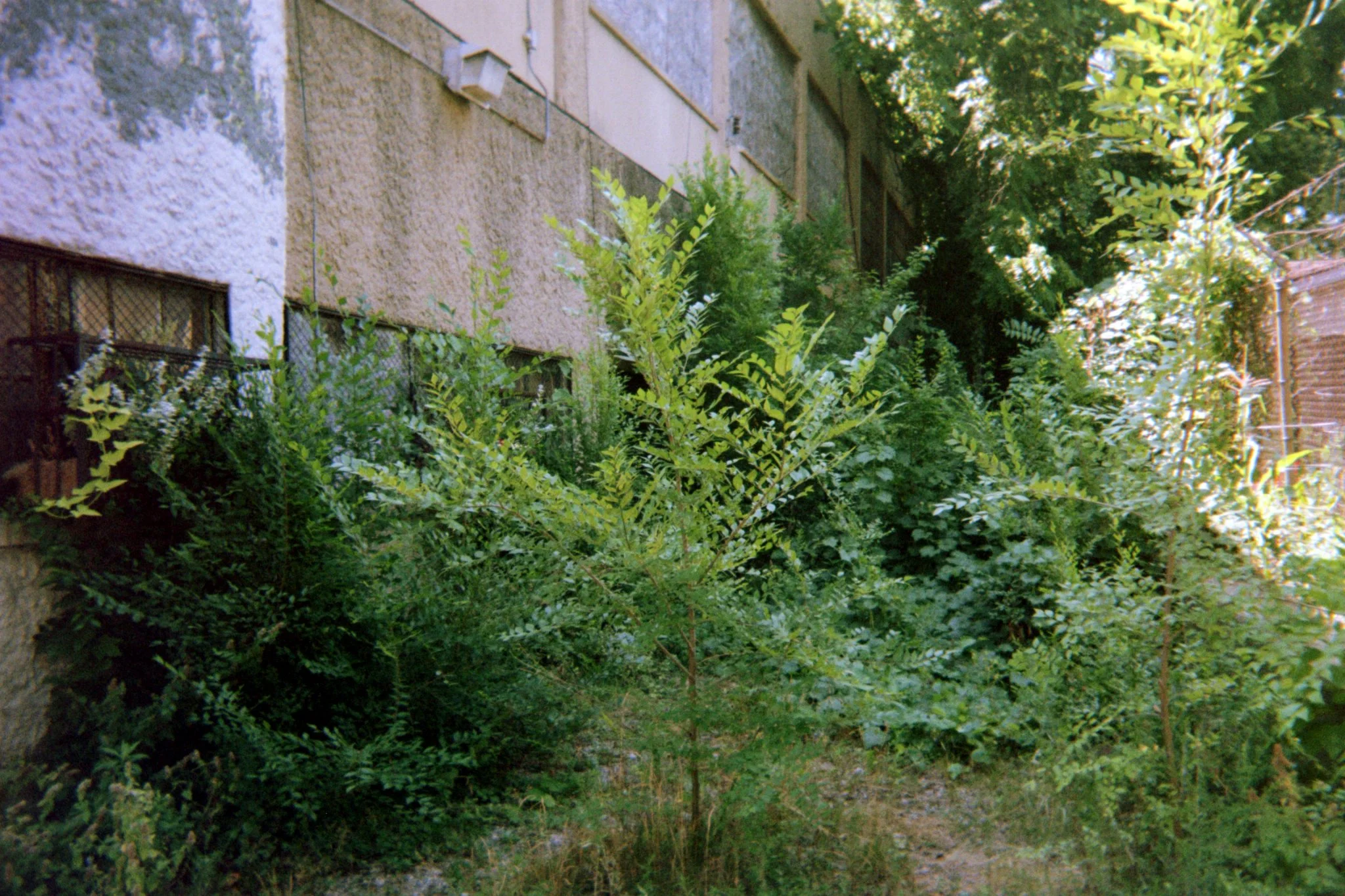 Asset0003.jpg