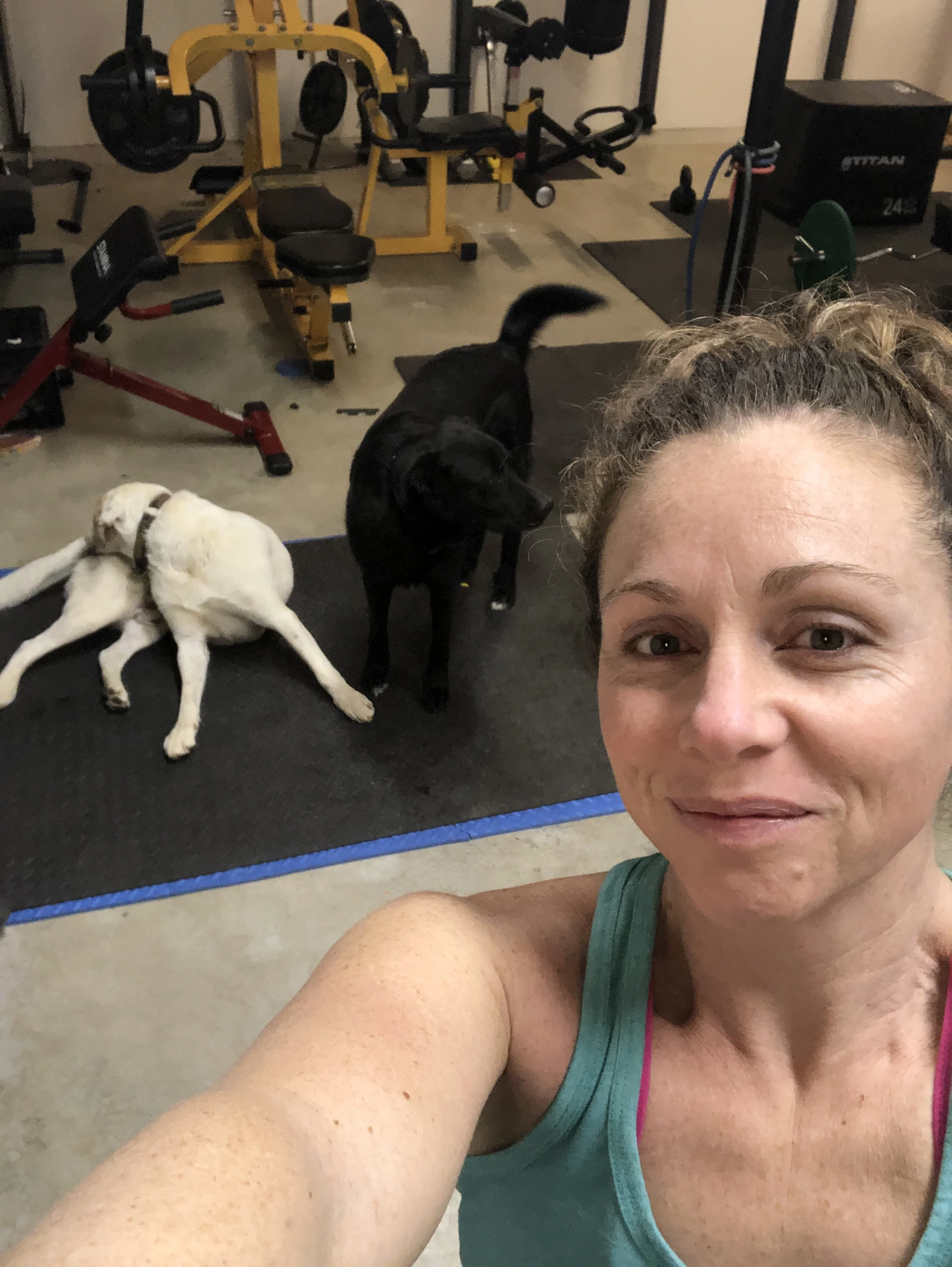 March 28 2019 Thursday (Accidental combos)