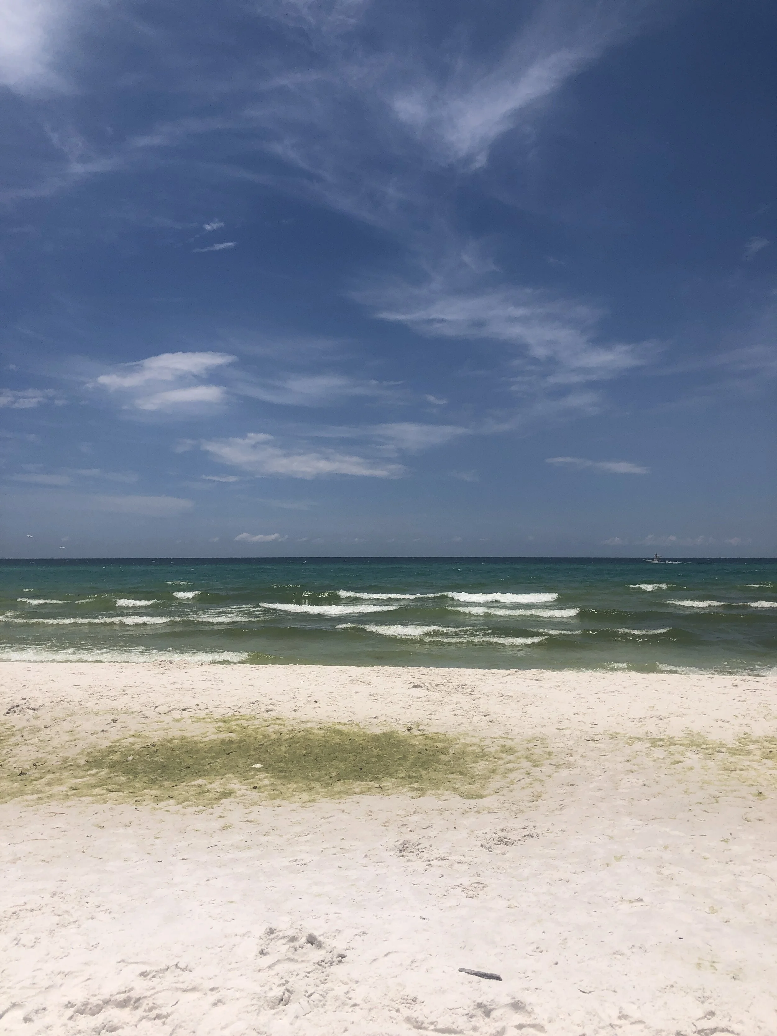 Tuesday-June 23- CATCH up day.