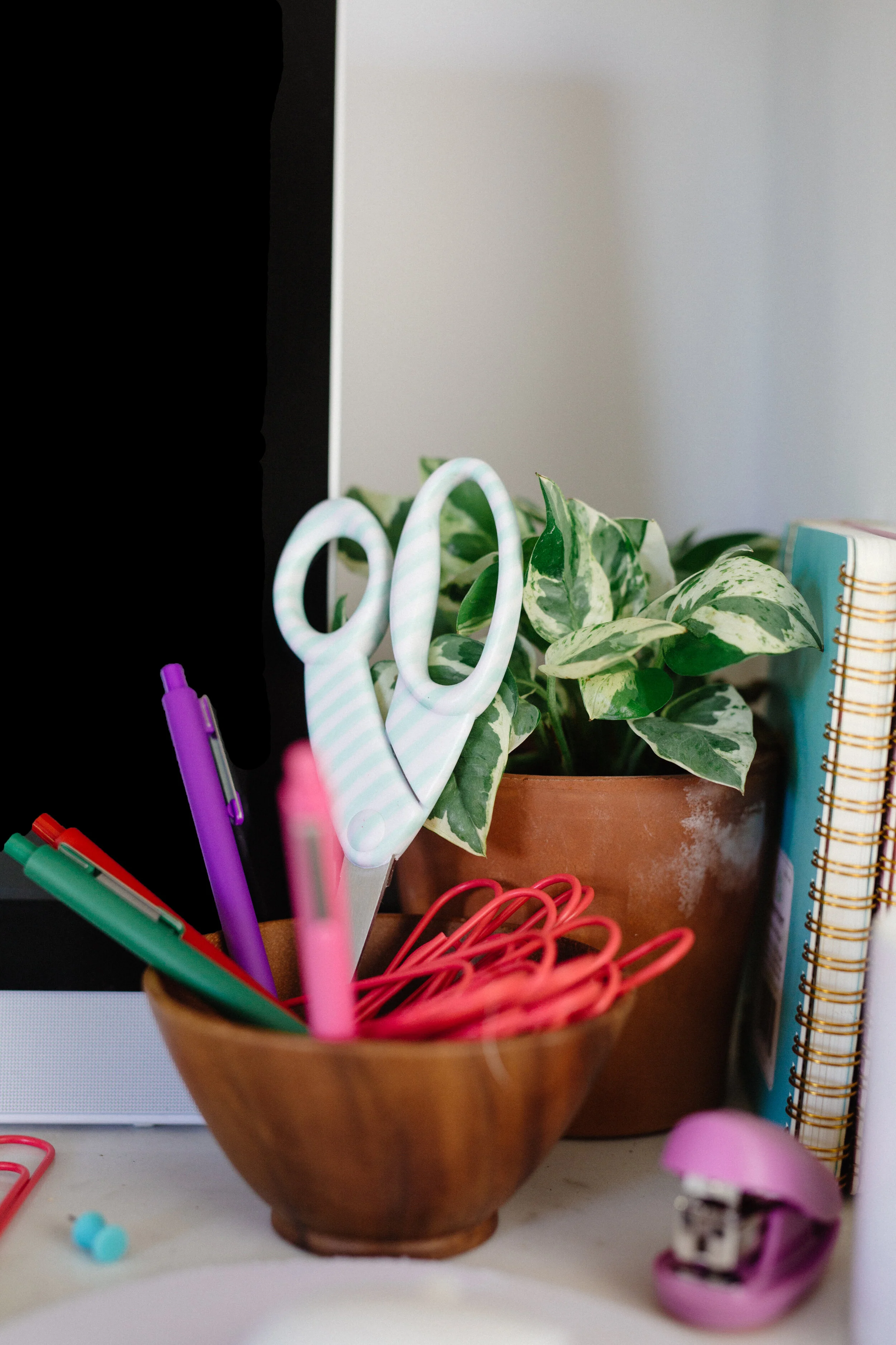 Monday-Aug 10-Heavy week: Biceps/triceps