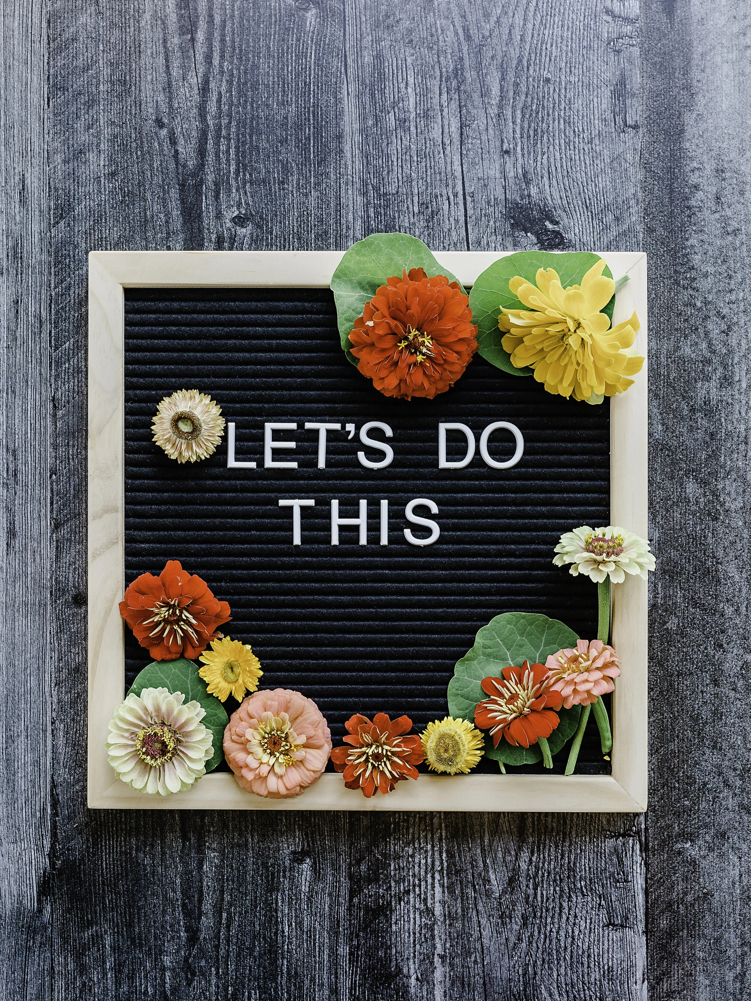 Friday-Sept 18-Leg Day