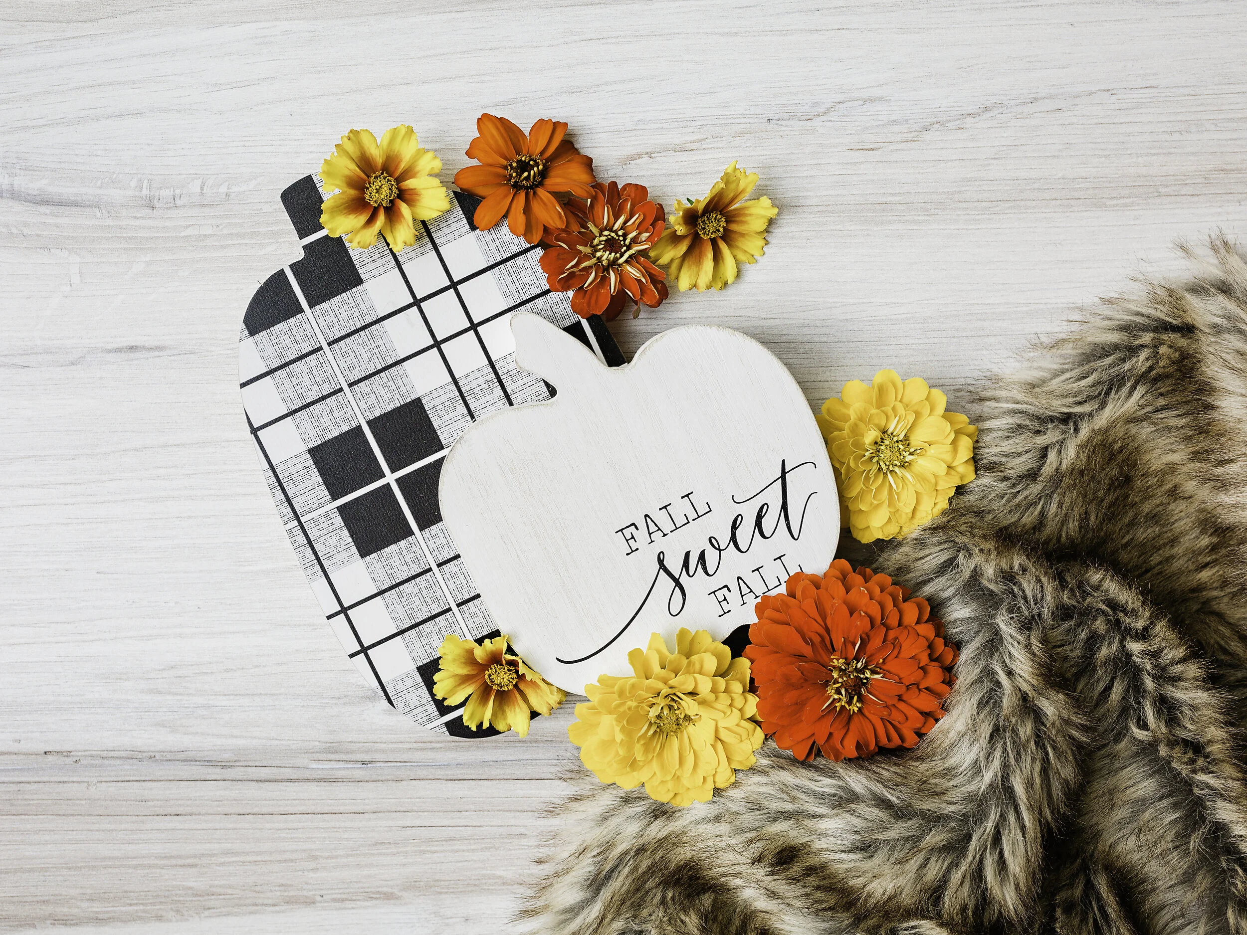 Sept 28 Cardio circuit