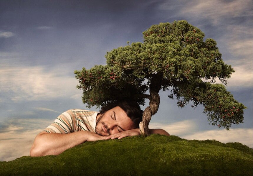 ChrisGaskill_SamJones_EntertainmentWeekly_GulliversTravels_JackBlack_Tree-600.jpg