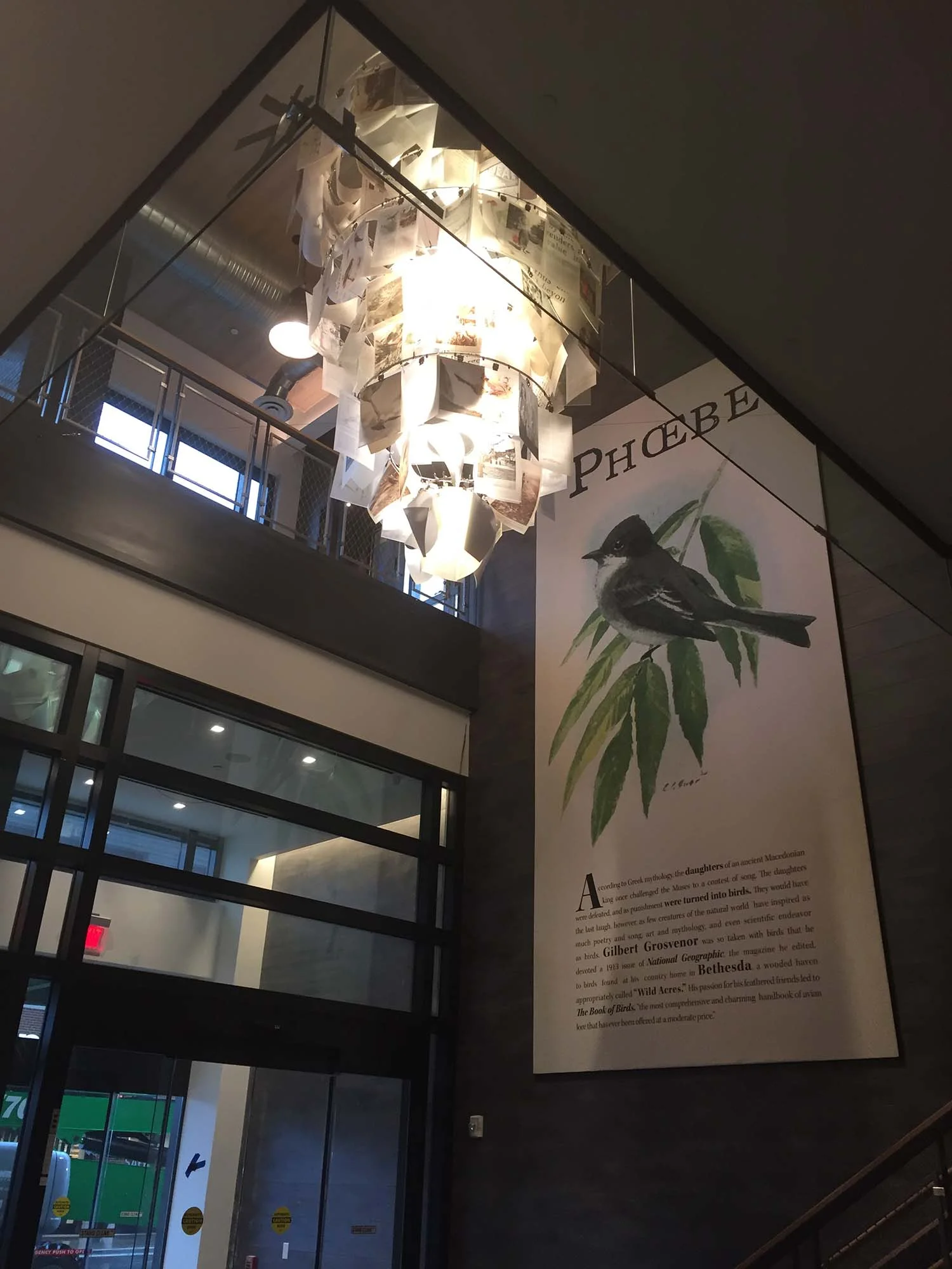 chandelier w phoebe.jpg