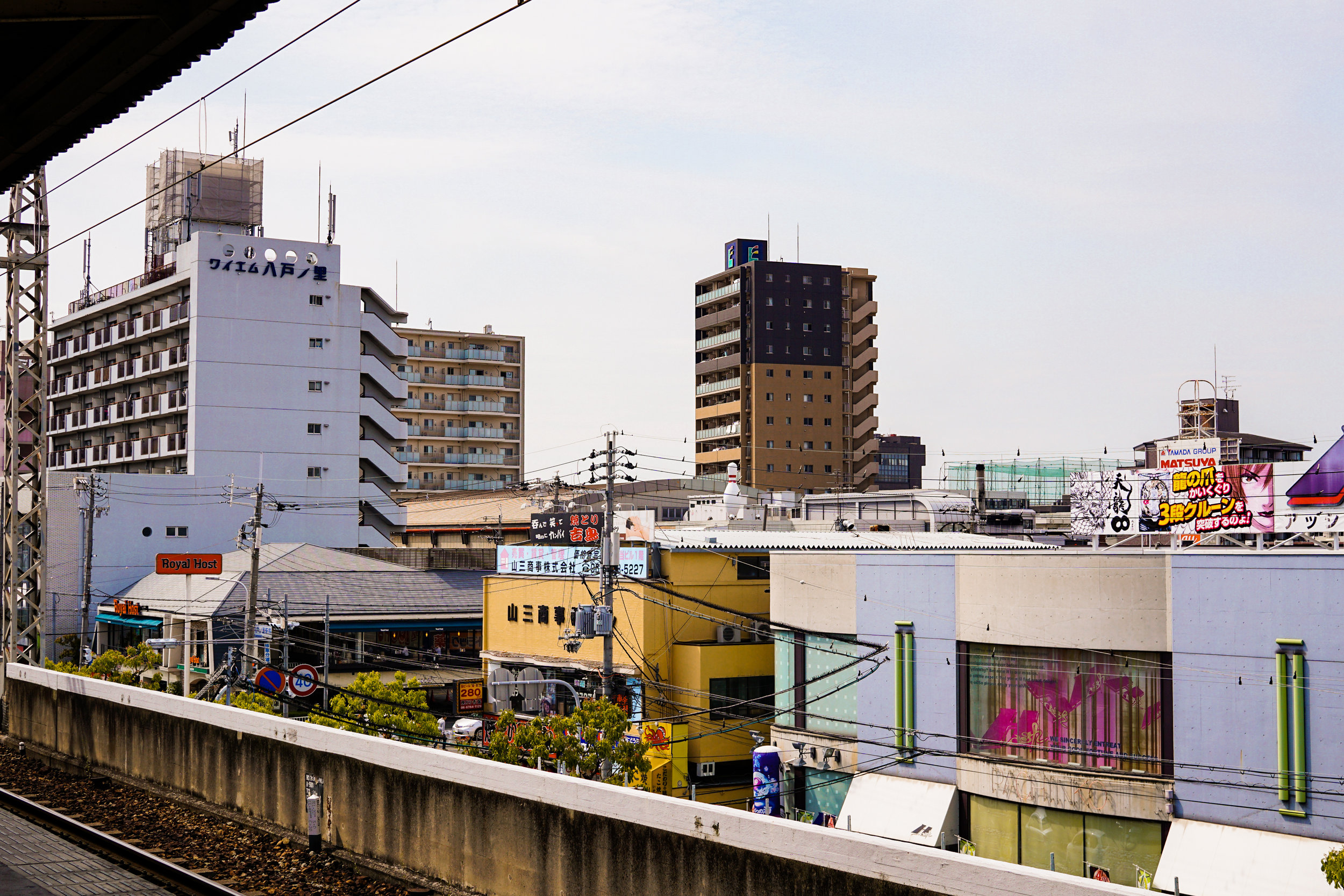 DSC00102.jpg