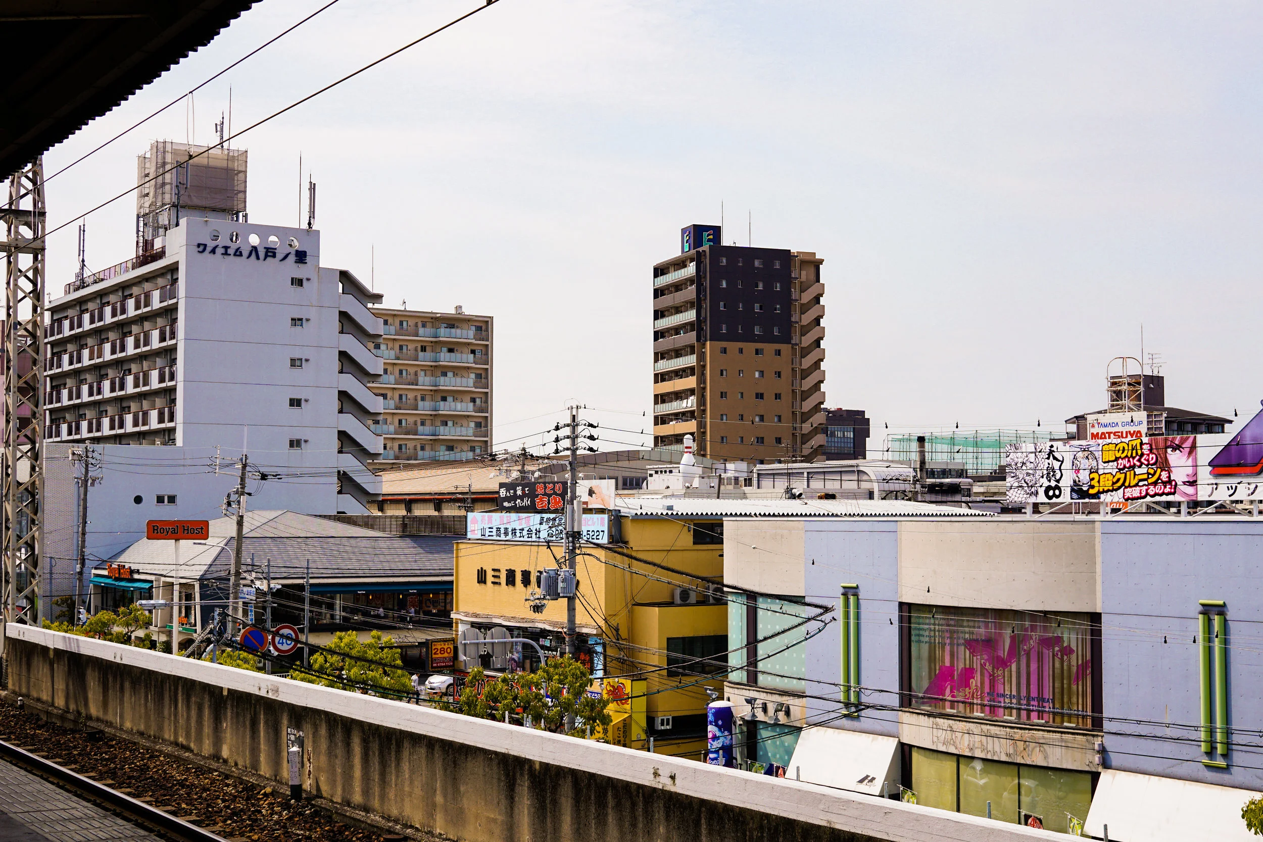 DSC00102.jpg