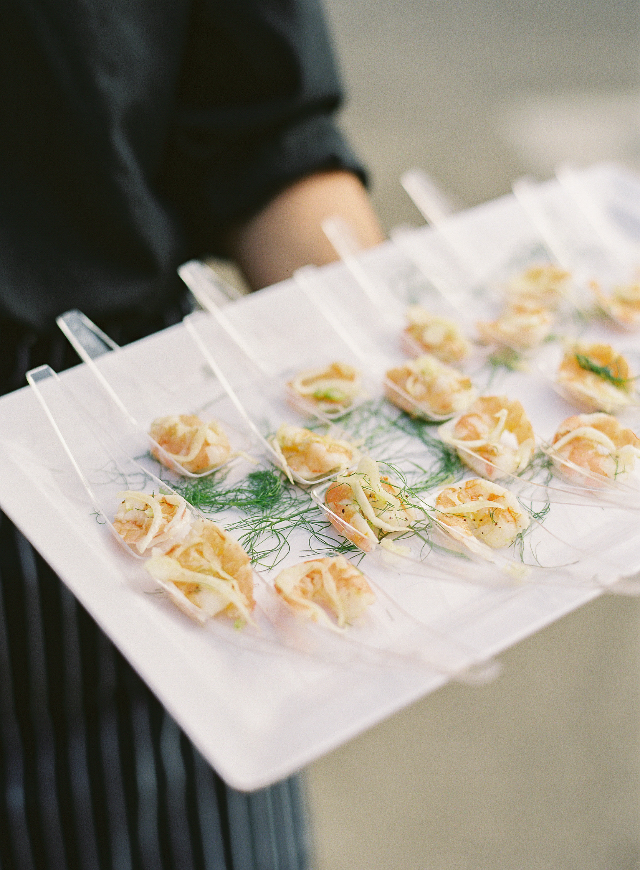 Shrimp & Fennel.jpg