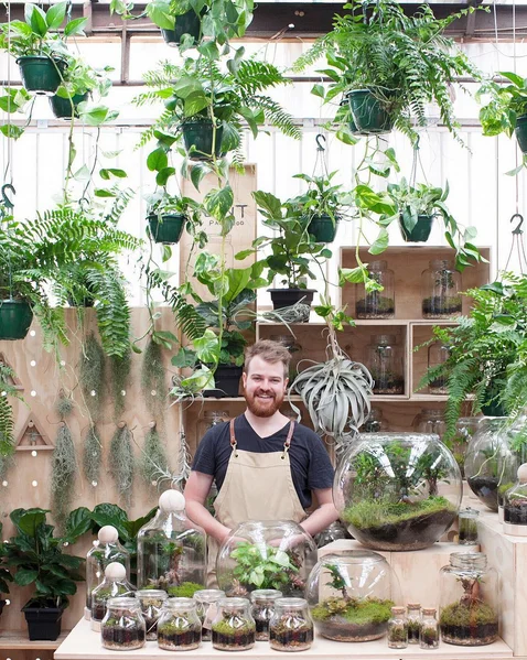 PlantPackwood.jpg