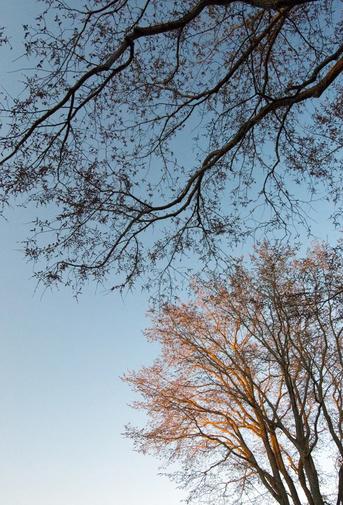 _DSC9603b.jpg