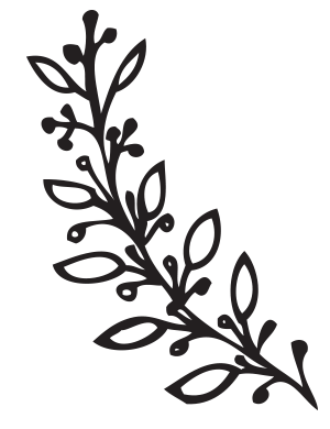 WE USE ONLY prime cuts OF free farmed NZ MEAT.