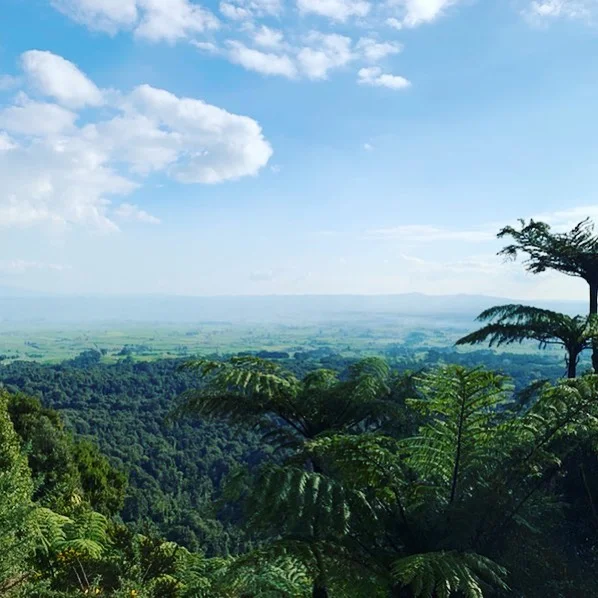 Beauty on the hill... heading to Tauranga for the @seriouslygoodfoodshow this weekend #localproducers #artisan #nzfoodies #taurangafoodies