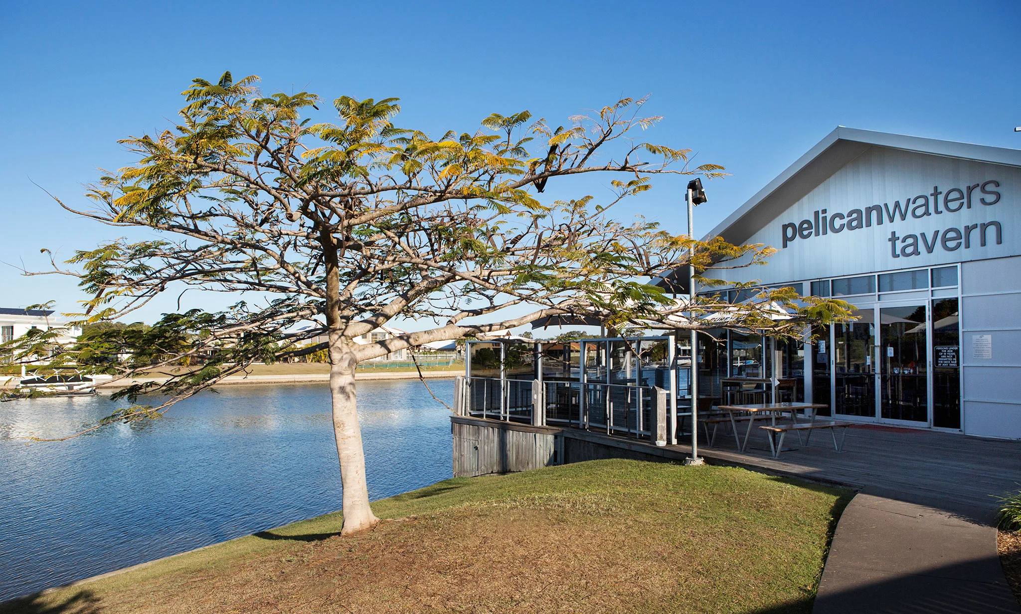 PELICAN_WATERS_8522.jpg