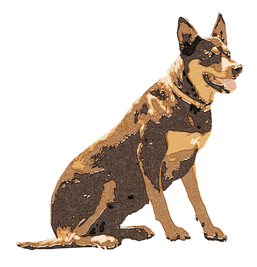 NJ_ELEMENT_DOG_1.png