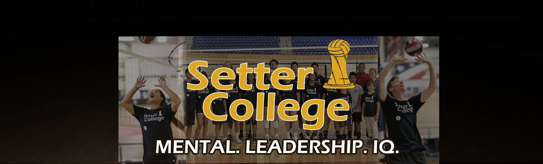 Setter College Website Banner.jpg
