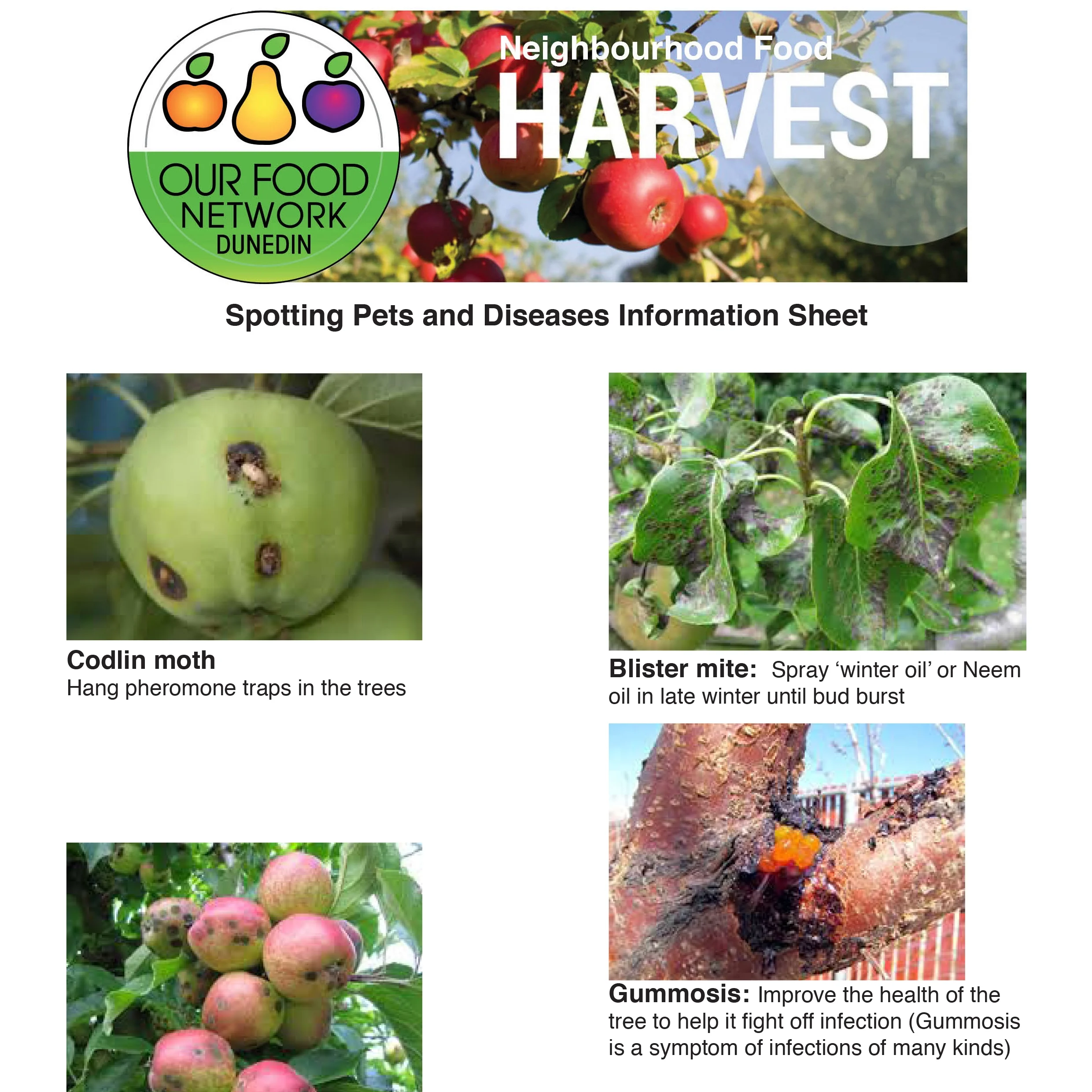 Pest and diseases info sheet-p1.jpg
