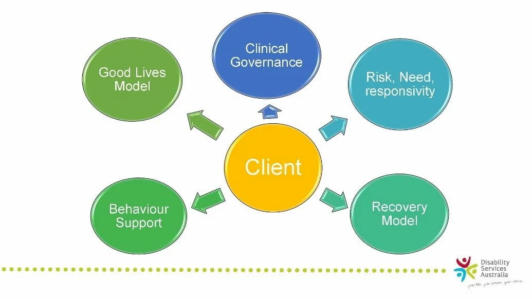 Figure 5 Therapeutic model used by DSA