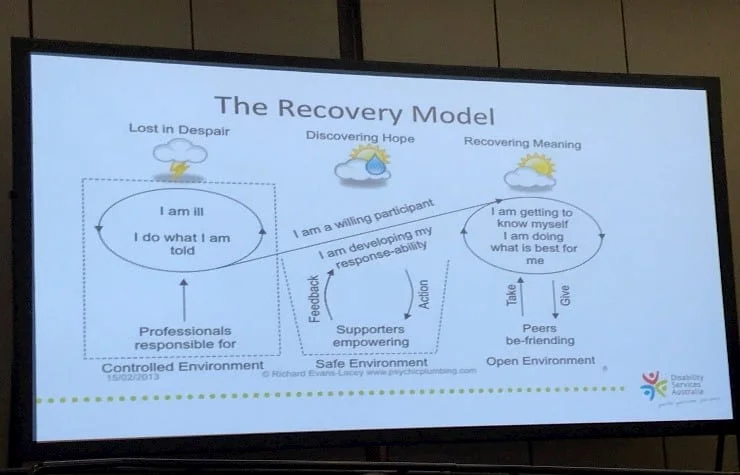 Figure 6 Recovery Model of  www.psychicplumbing.com  that is used by DSA