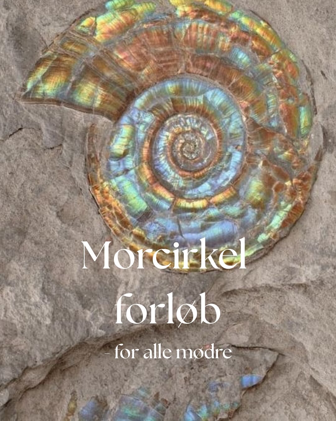 🕯️🌀Morcirkel forl&oslash;b🌀🕯️

For dig som er mor uanset dine b&oslash;rns alder. Vi starter den 21. december og m&oslash;des hver m&aring;ned i 6 m&aring;neder i Womb Space p&aring; Vesterbro, online og i naturen. Hvert m&oslash;de vil have et t