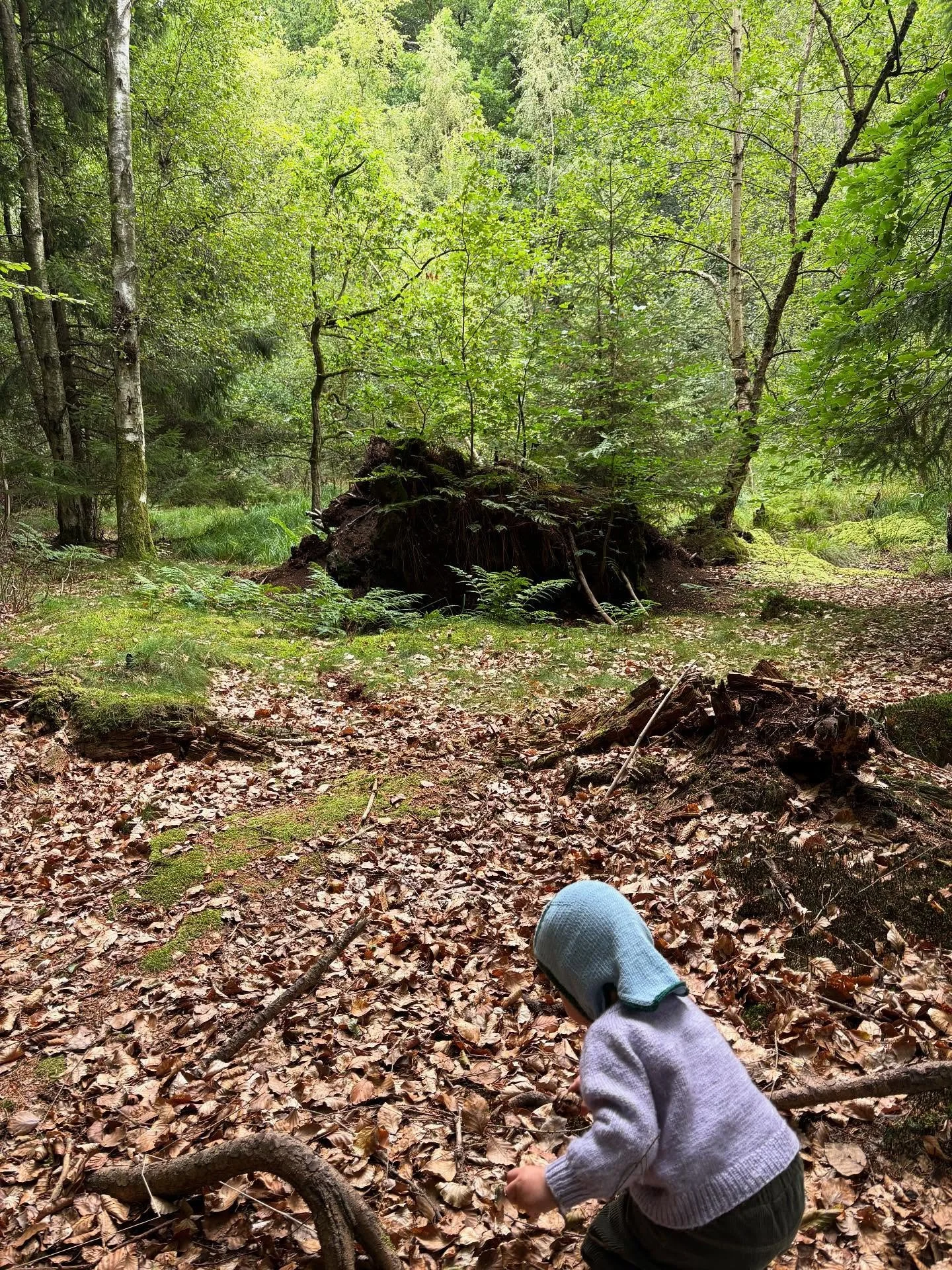 Motherhood these days hehe

I took some time out joining this weekend workshop on reclaiming kinship with @satuyoga 

A story line that spoke directly to my current transition or season change. My brain is becoming less foggy and I am more ready to o