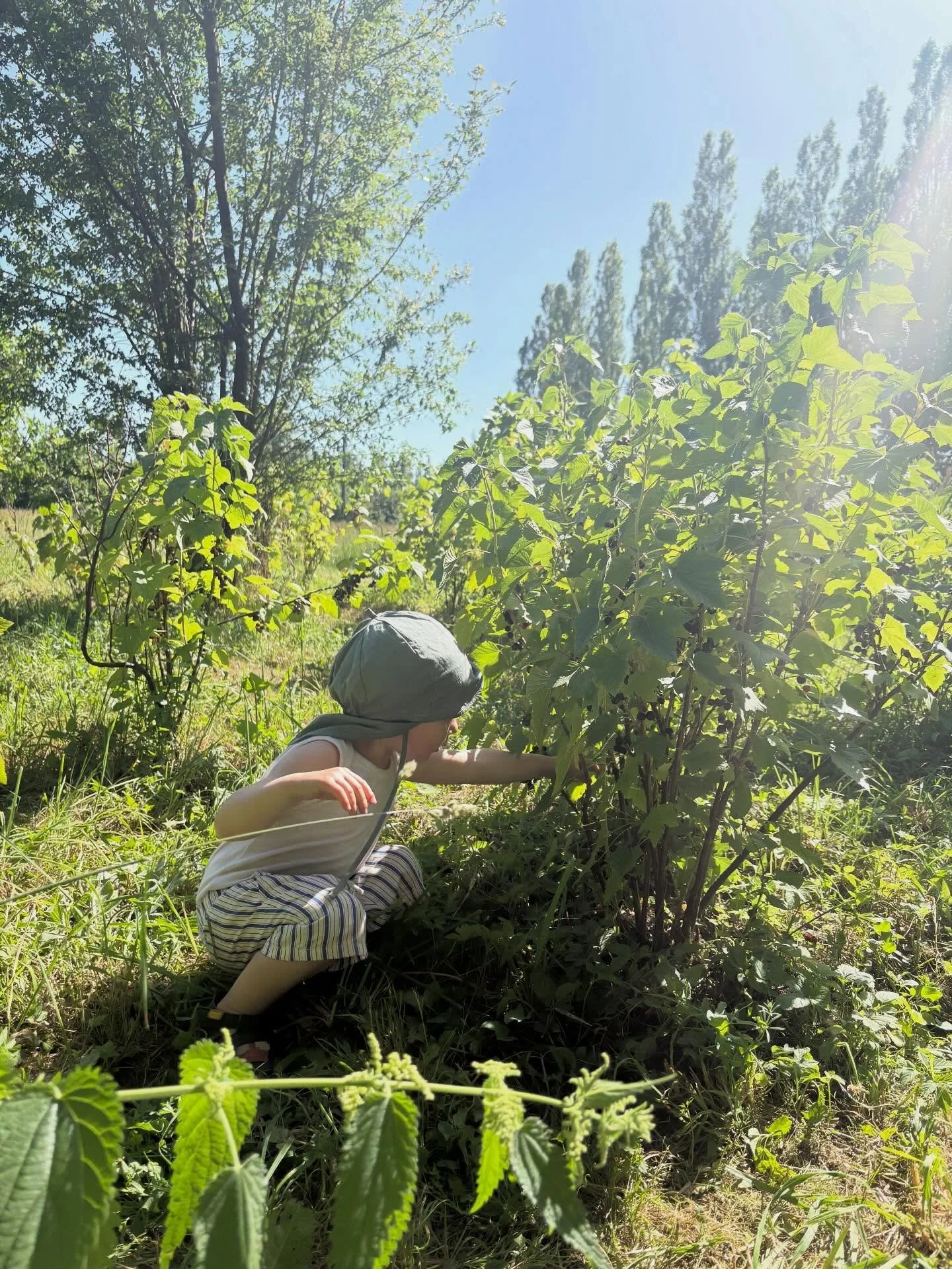 Juni du str&aring;lende m&aring;ned (bedre sent end aldrig!!). Det var bare en ret vidunderlig m&aring;ned med nogle dybe magiske afslutninger for s&aring;dan en skorpion sol som mig&hellip; N&aelig;rende stunder med mit barn, mine venner og min fami