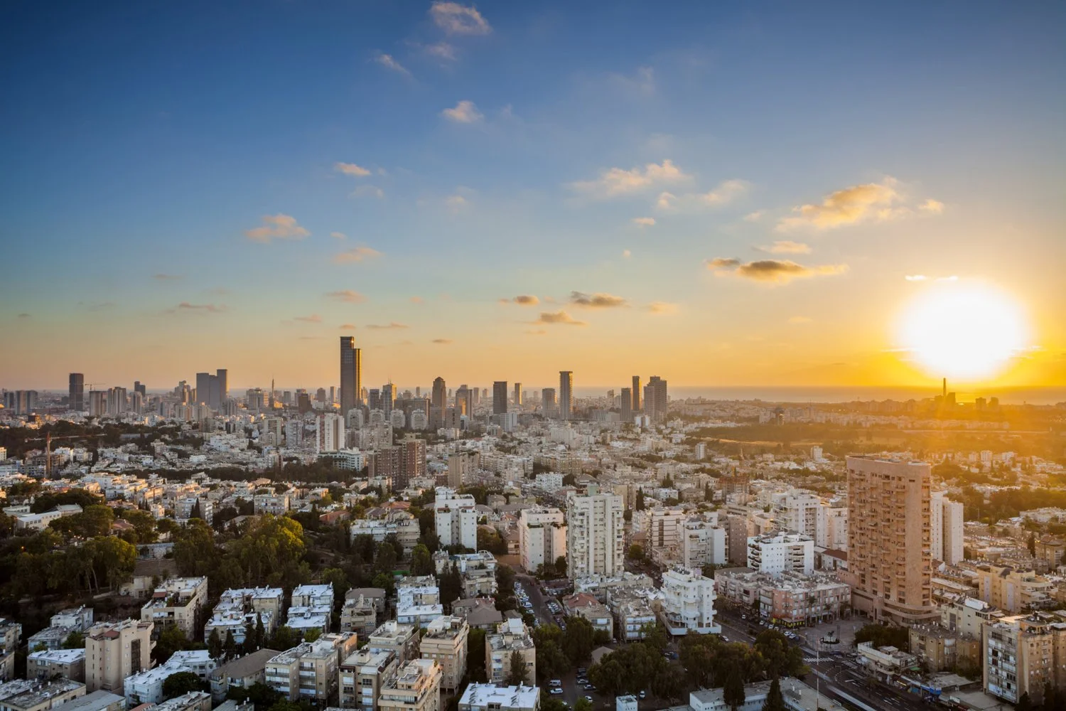 TLV.jpg