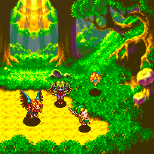 5: What the Forest Taught Me