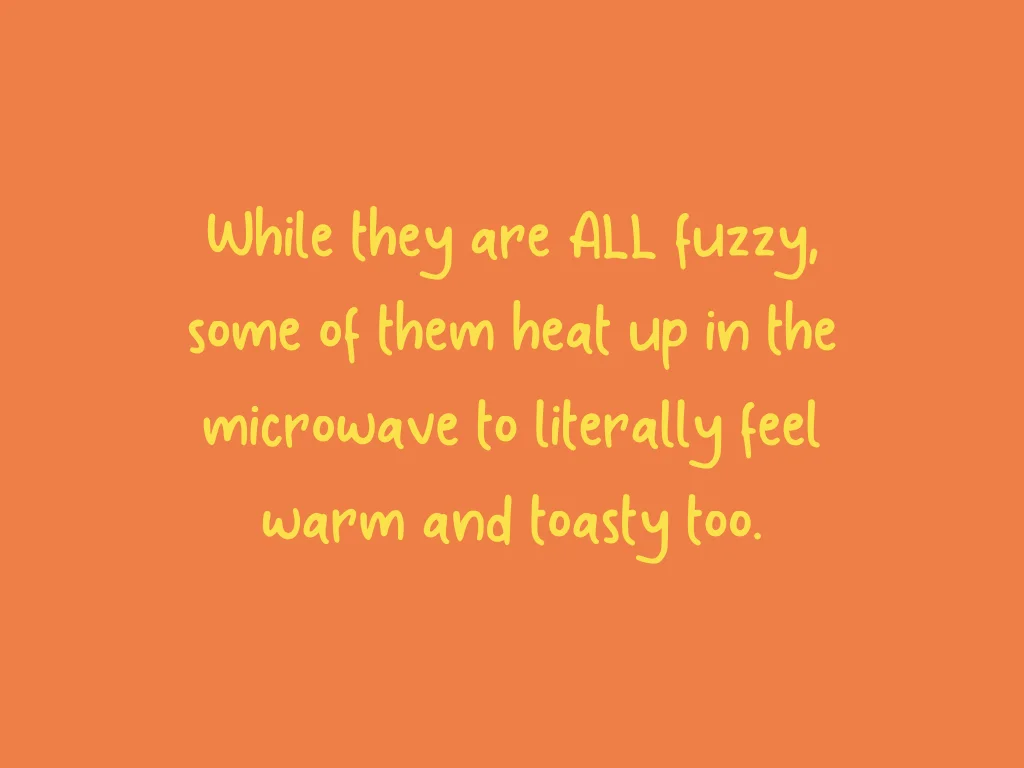 Toasty Toy Introduction.004.jpeg