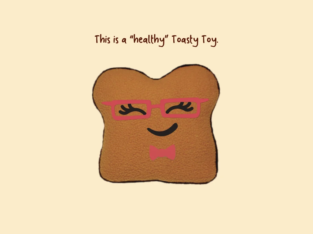 Toasty Toy Introduction.006.jpeg
