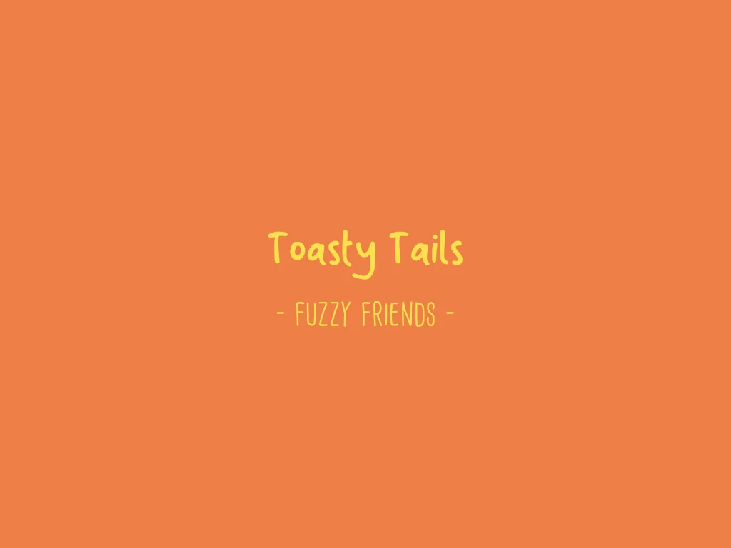 Toasty Toy Introduction.016.jpeg