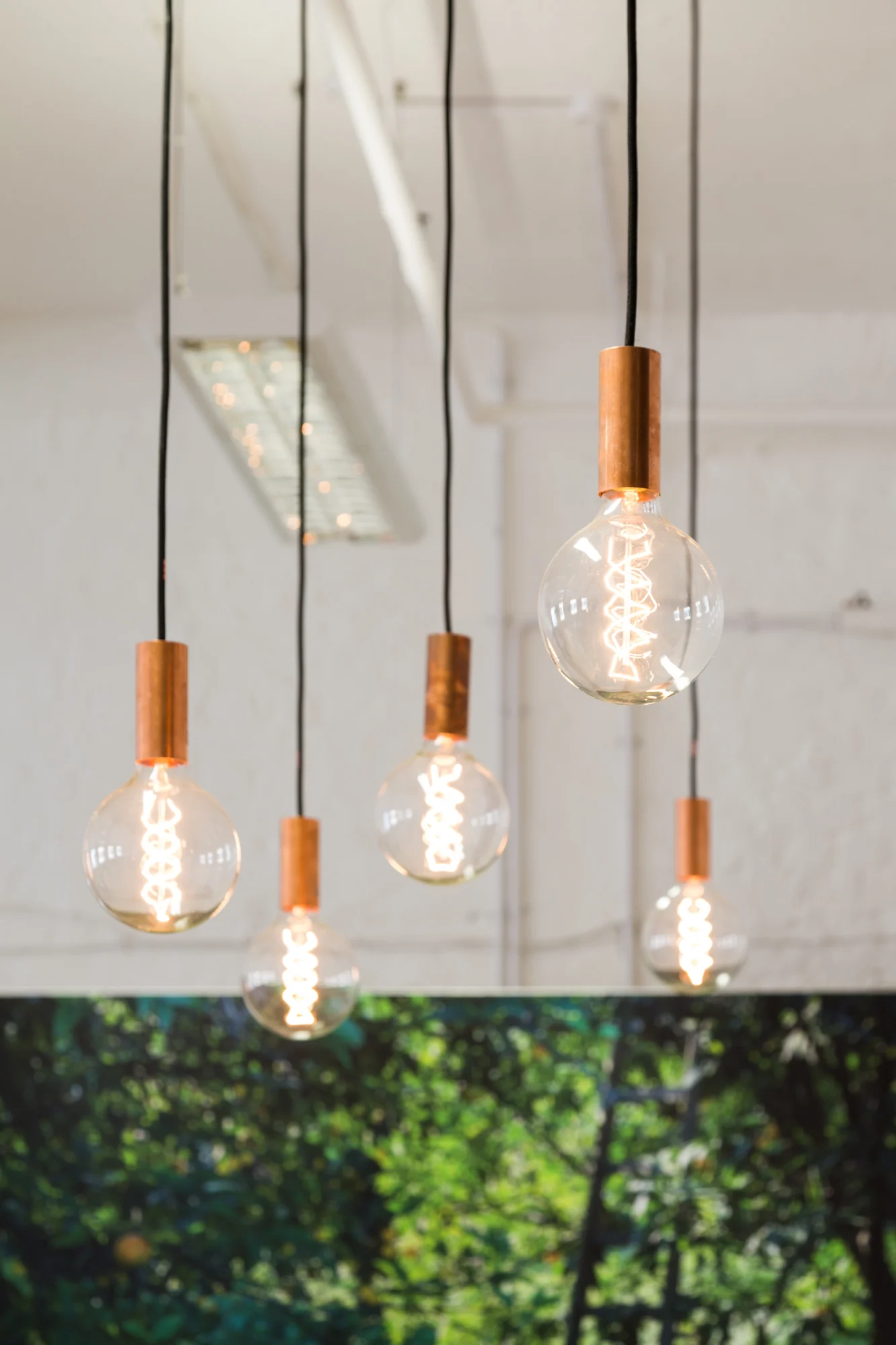 Fever Tree_light bulbs.jpg