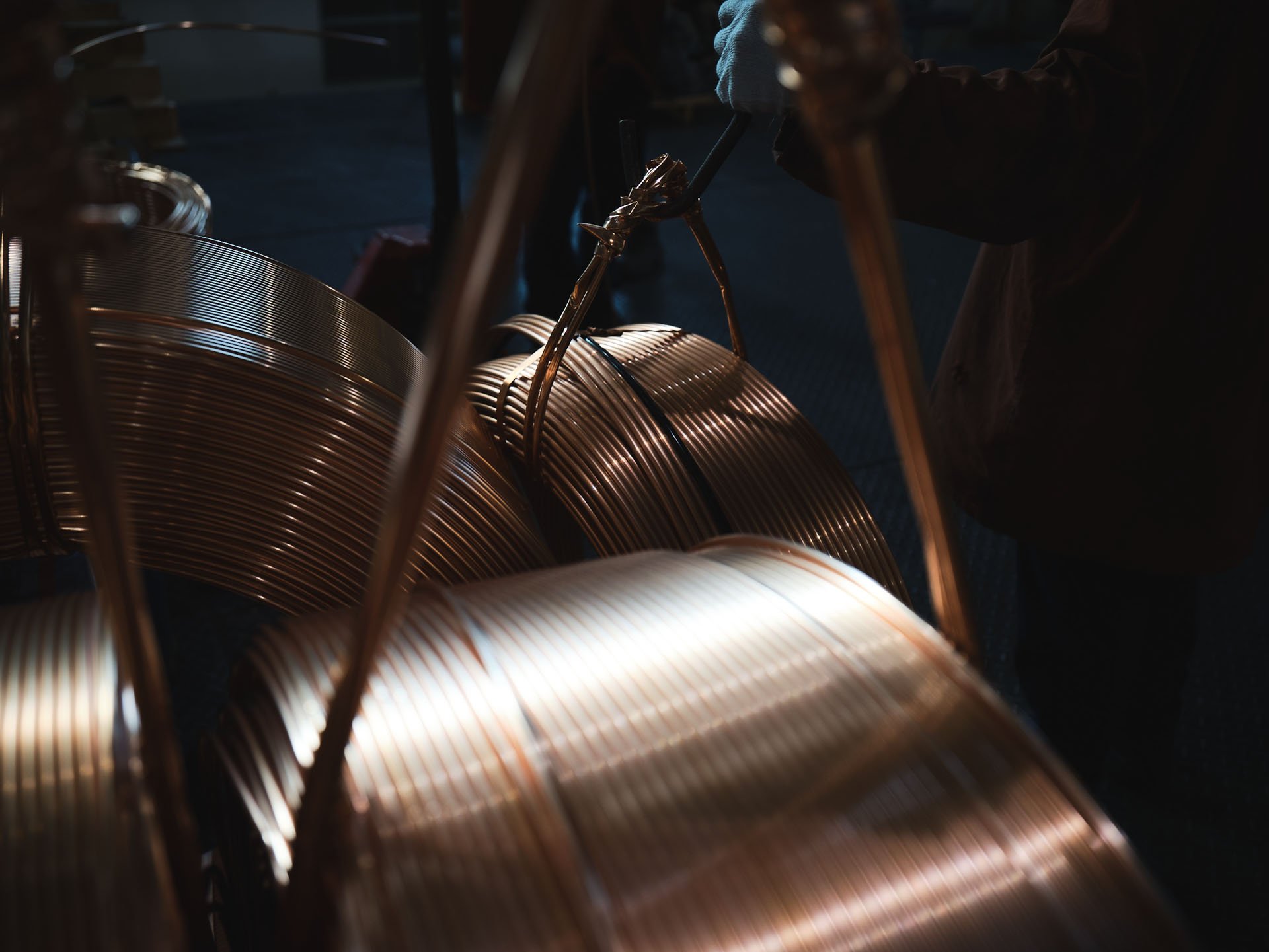 20201011_MattWardle_MuellerMiddleEast 99.jpeg