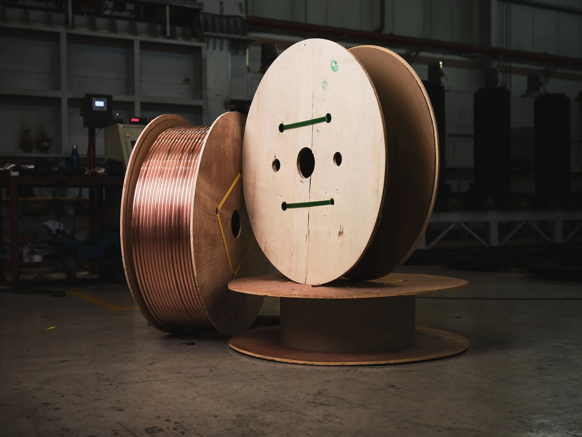 20201011_MattWardle_MuellerMiddleEast 100.jpeg