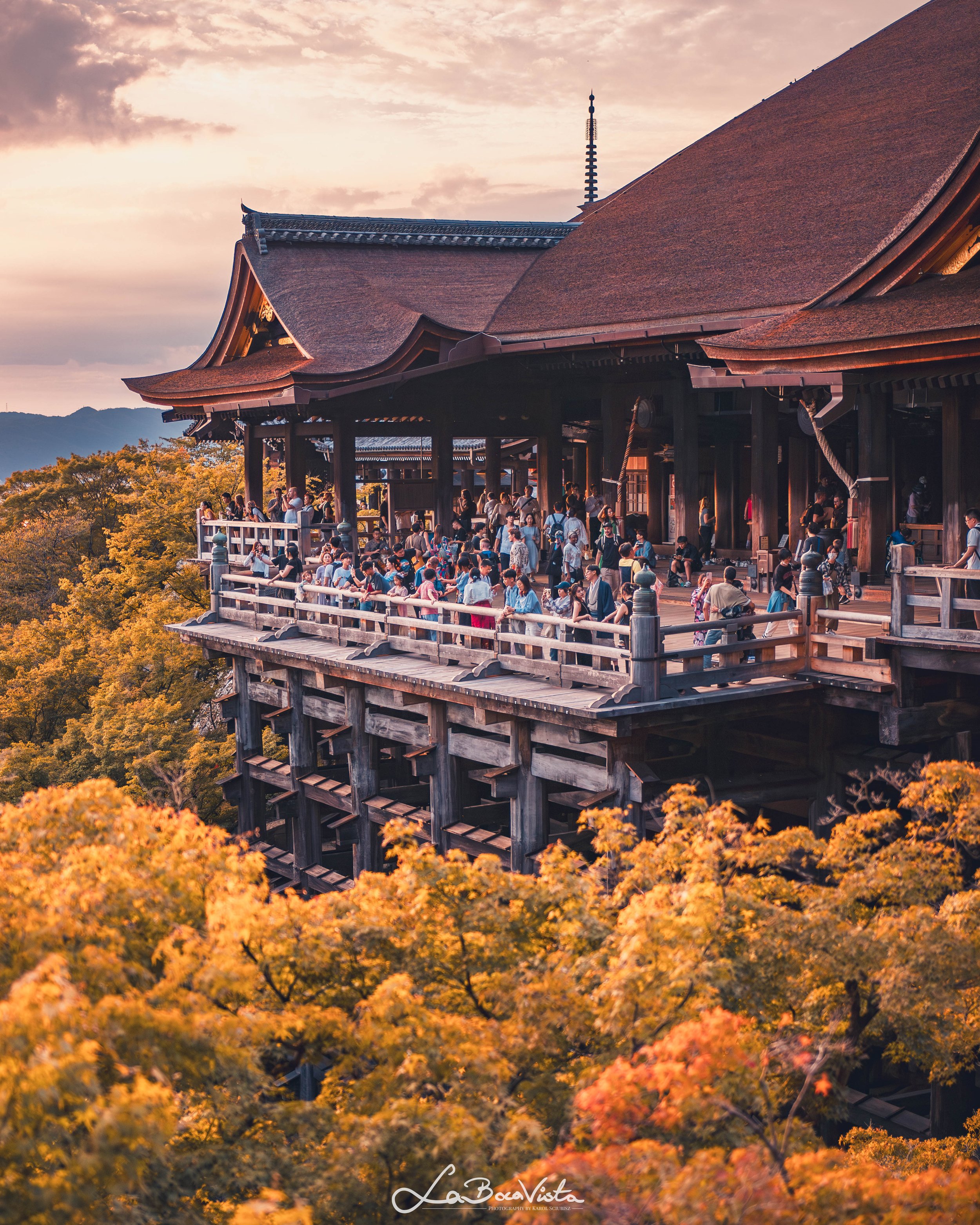 IMG_4680-Enhanced-NR_kyoto.jpg