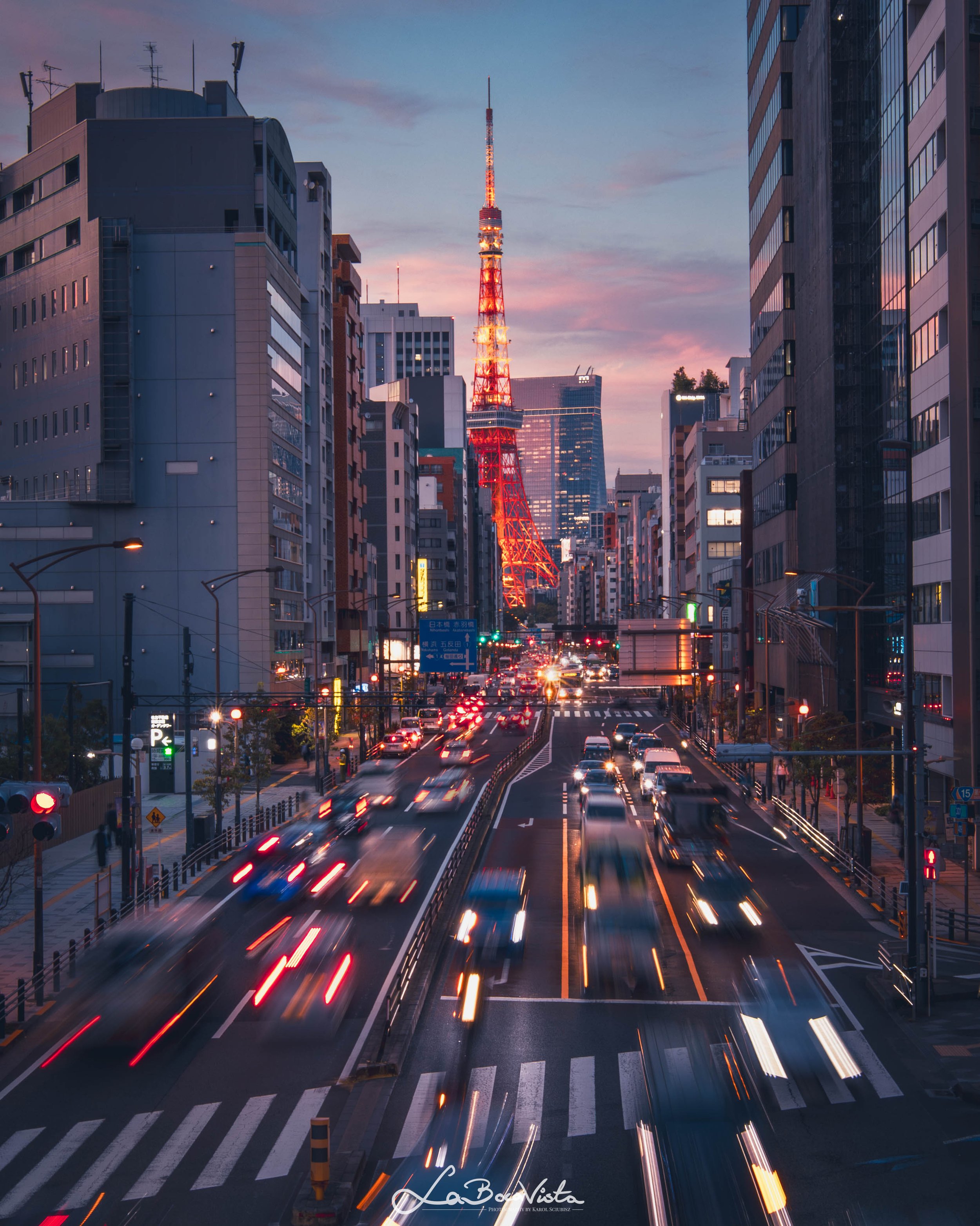 IMG_8091-Enhanced-NR_tokyo.jpg