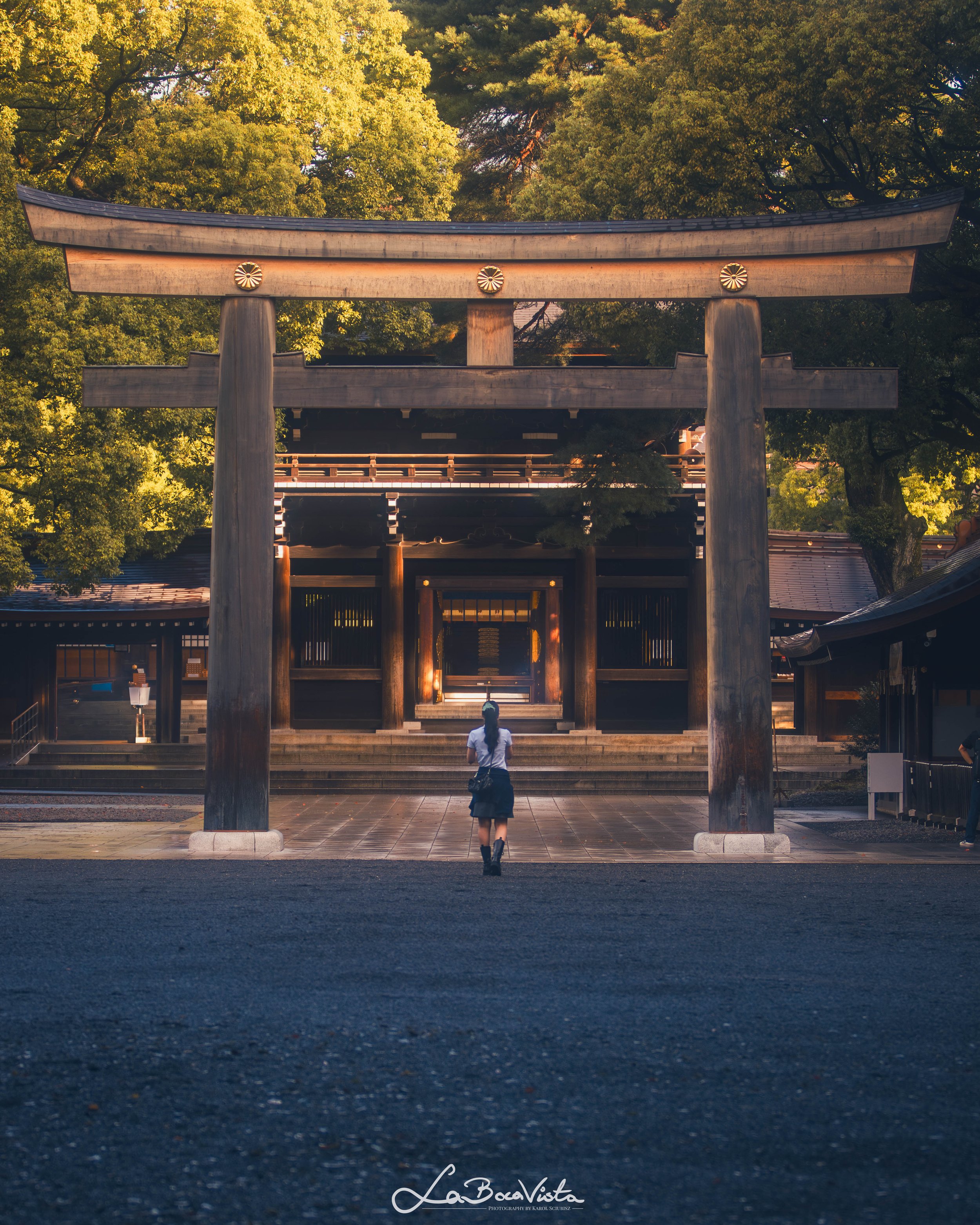 IMG_1888-Enhanced-NR_tokyo.jpg
