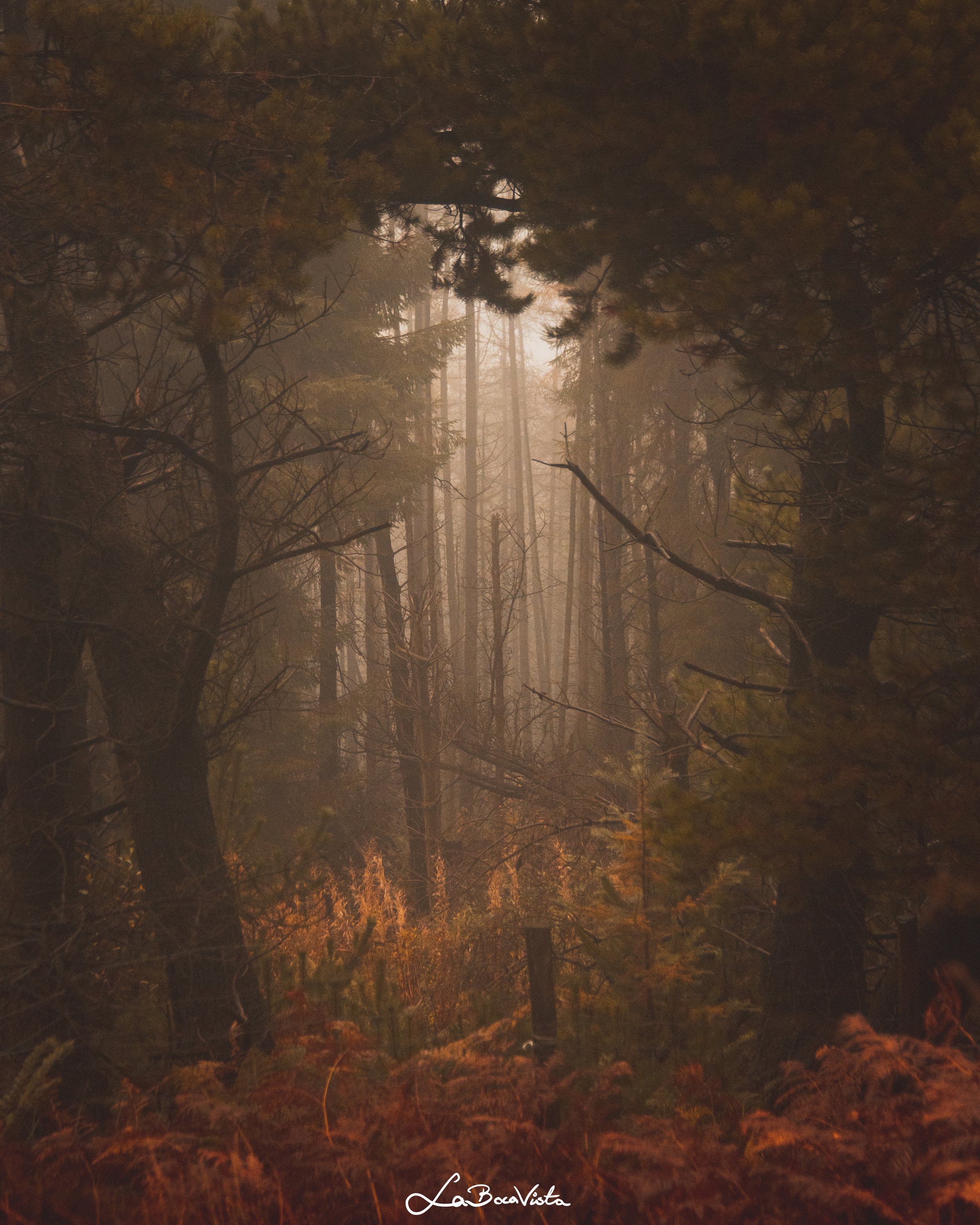 wicklow_25.jpg