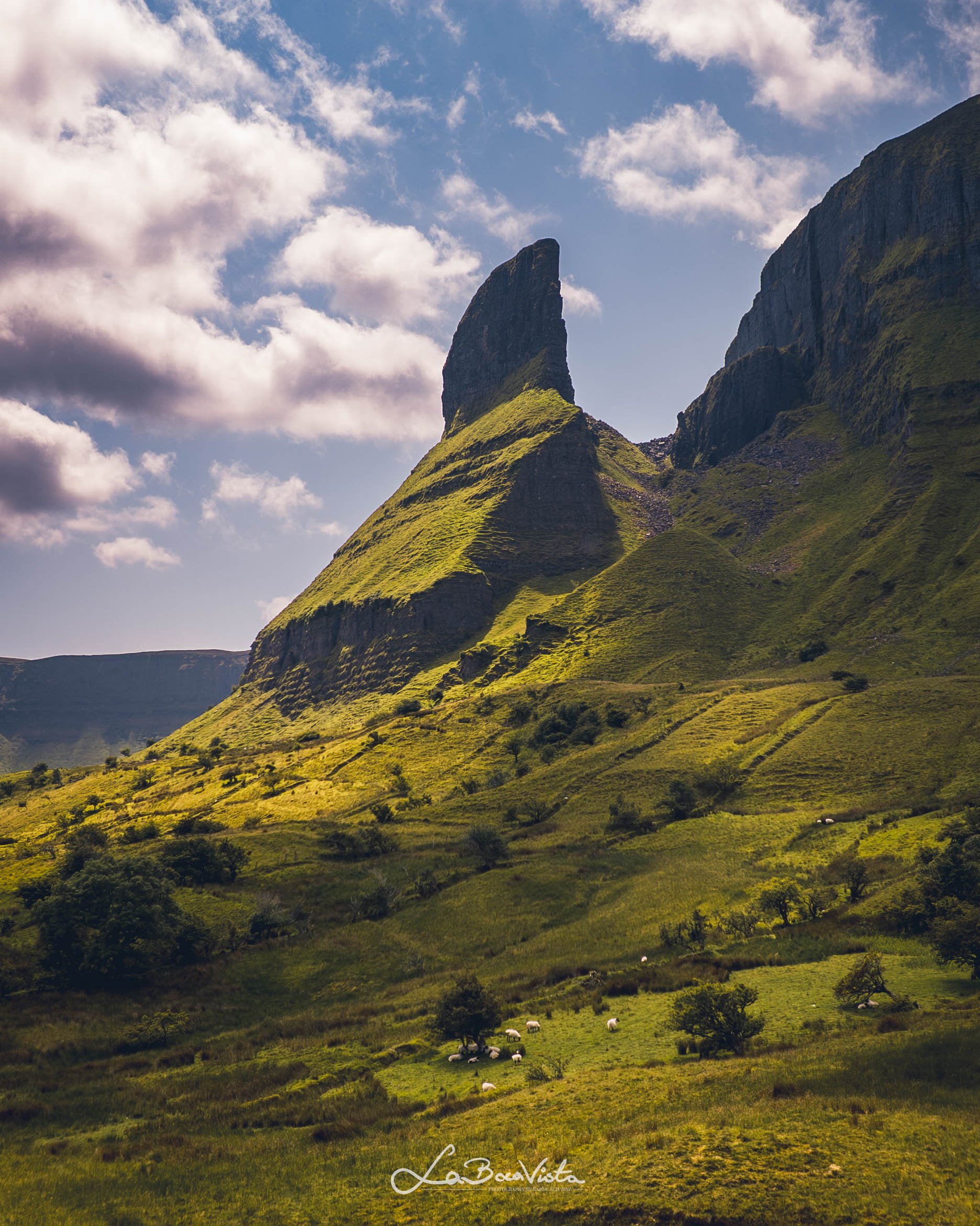 sligo_03.jpg