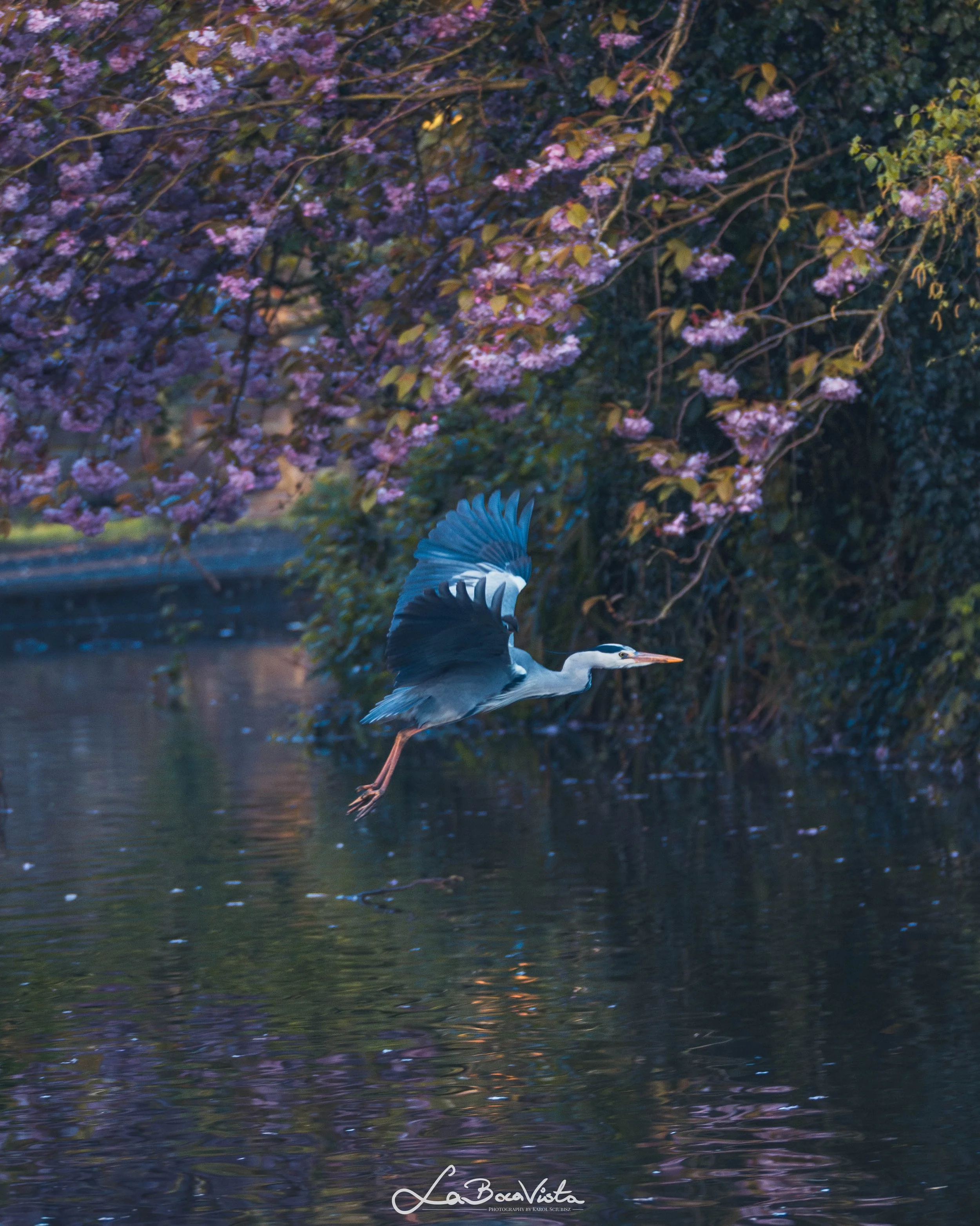 HerbertPark_08.jpg