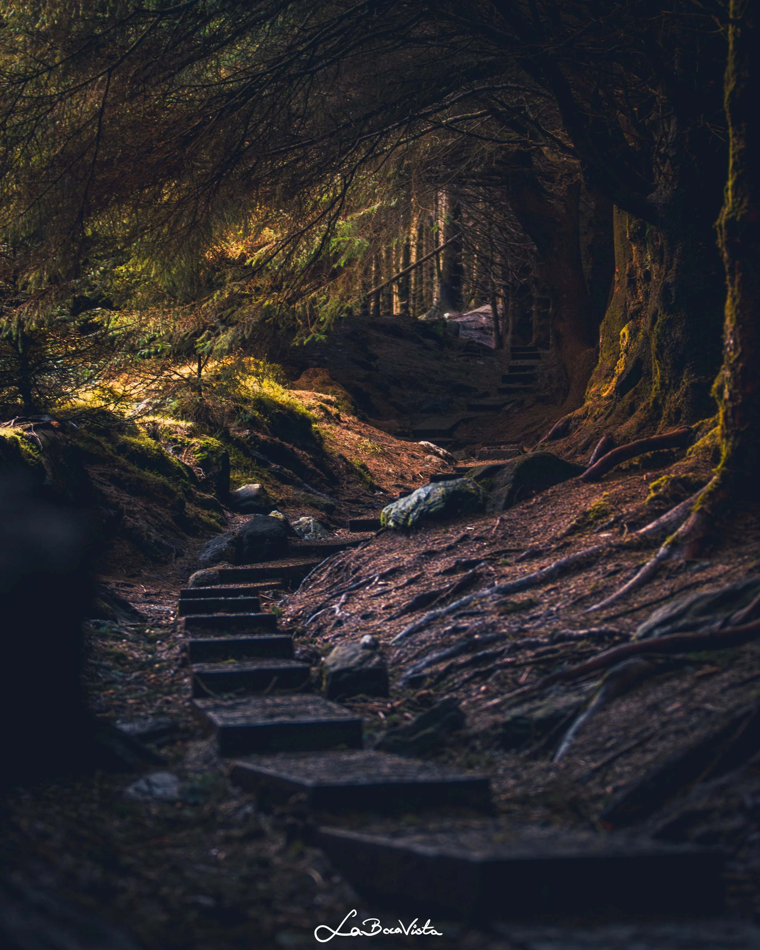 wicklow_23.jpg
