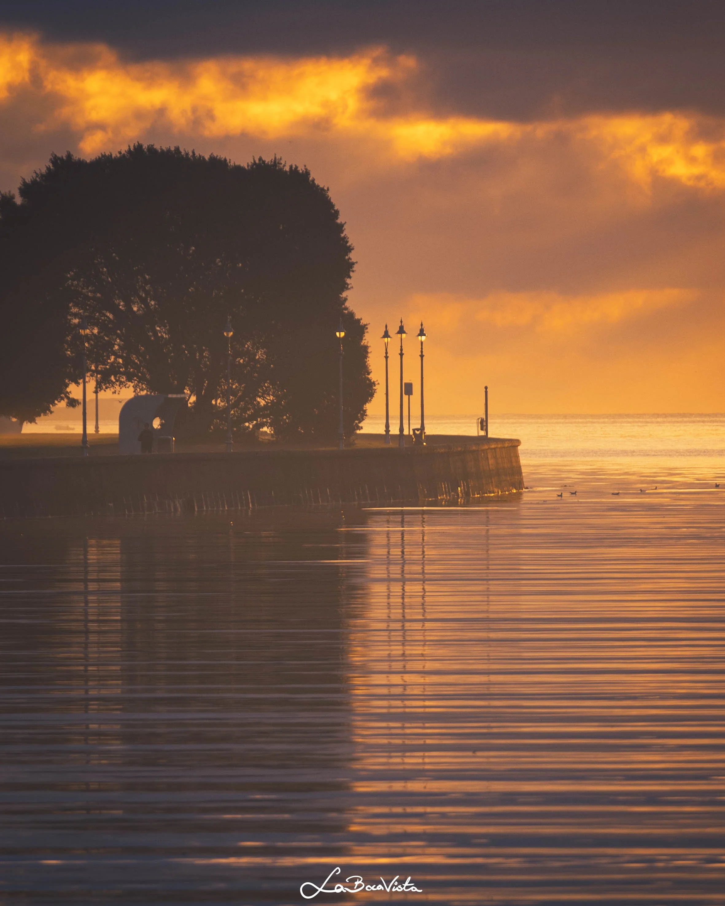 Clontarf_19.jpg