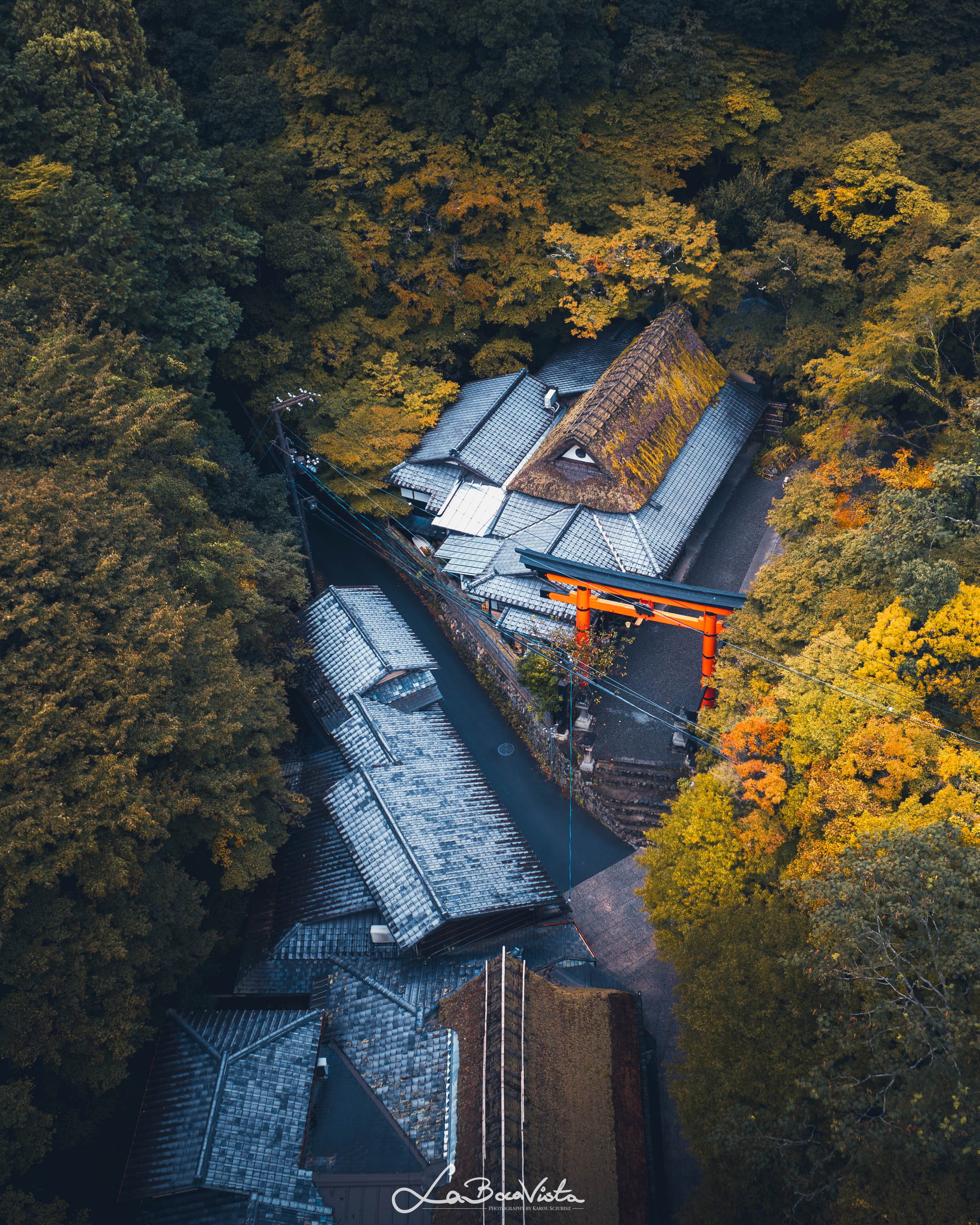 Copy of DJI_0027-Enhanced-NR_kyoto.jpg