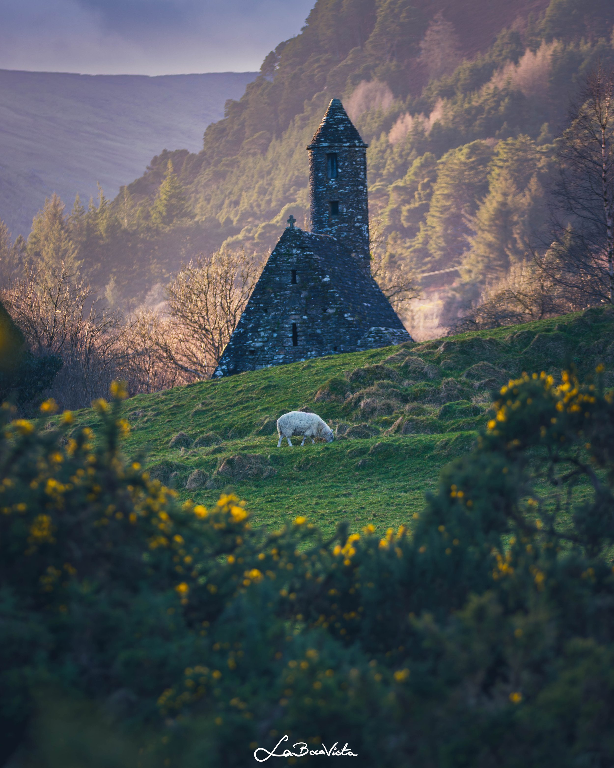 wicklow_27.jpg