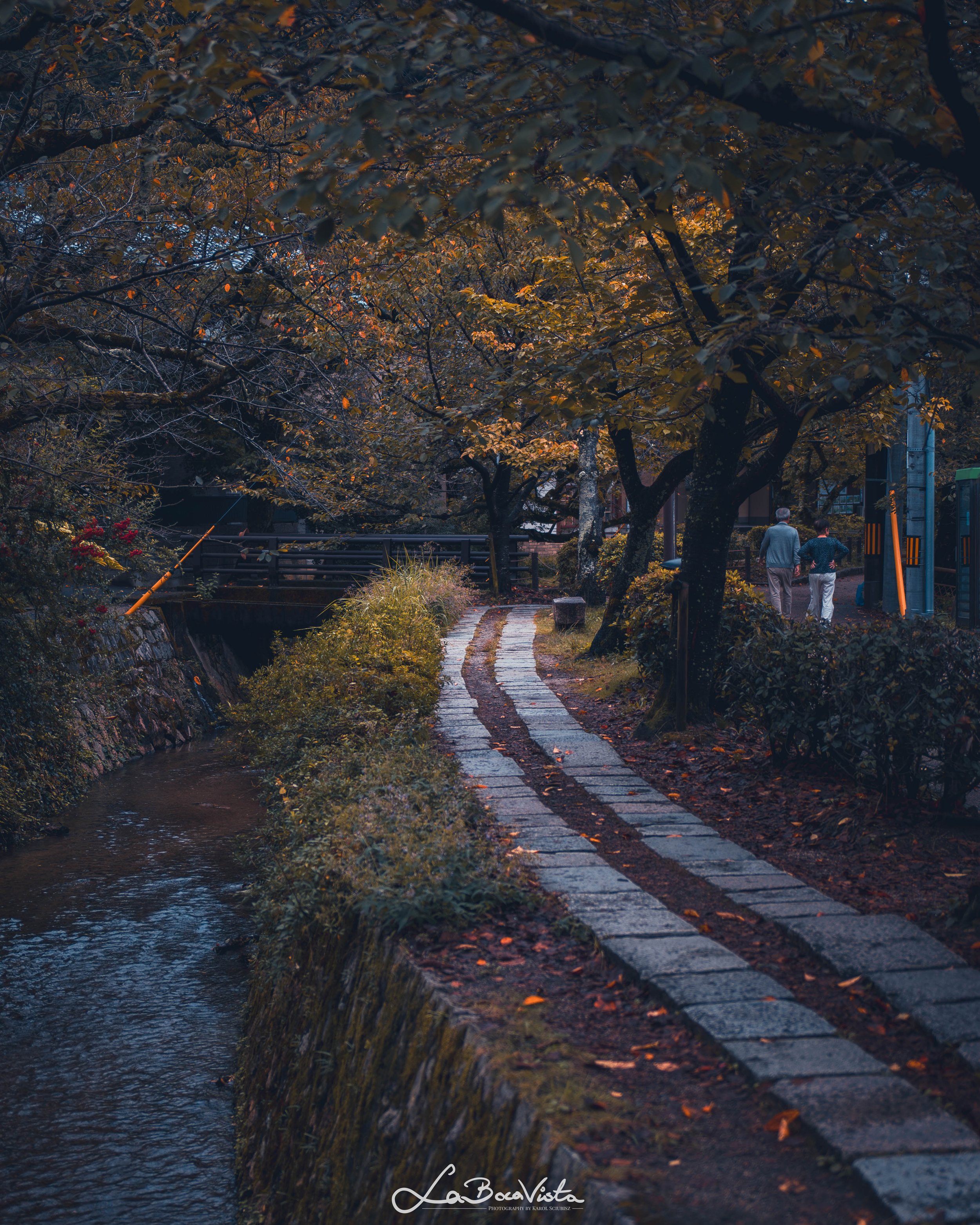 IMG_6296-Enhanced-NR_kyoto.jpg