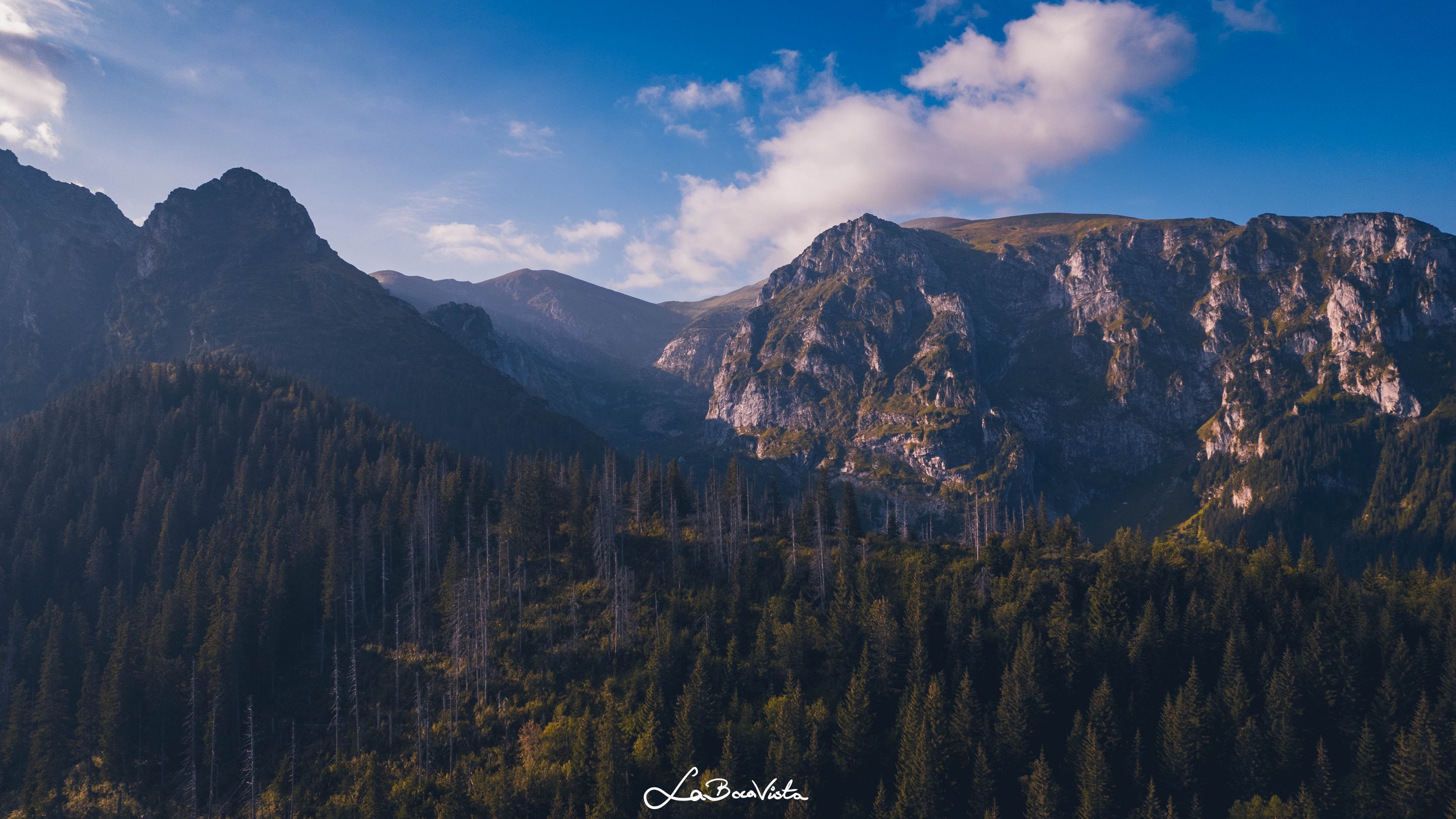 DJI_0890_020923.jpg