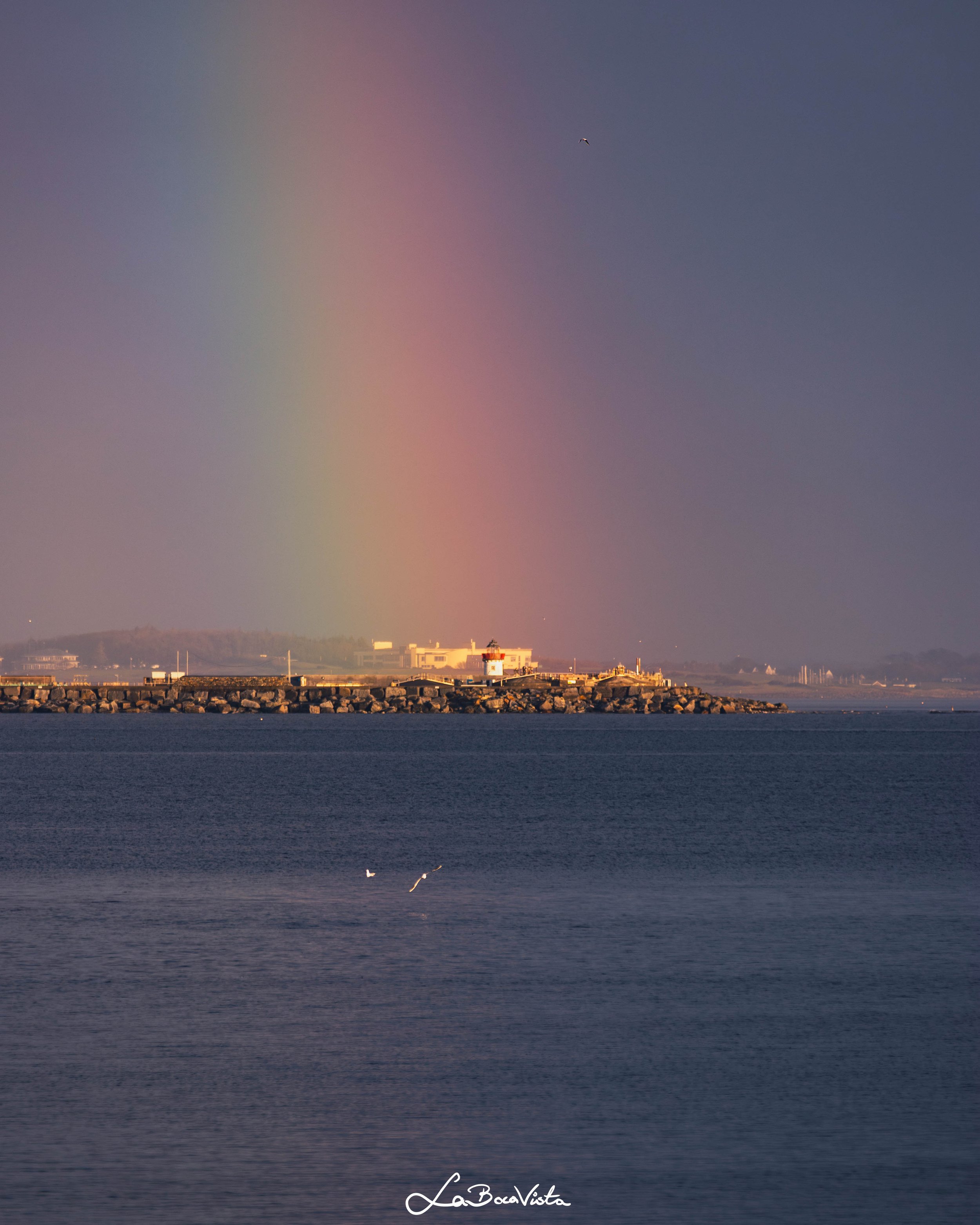 galway_03.jpg