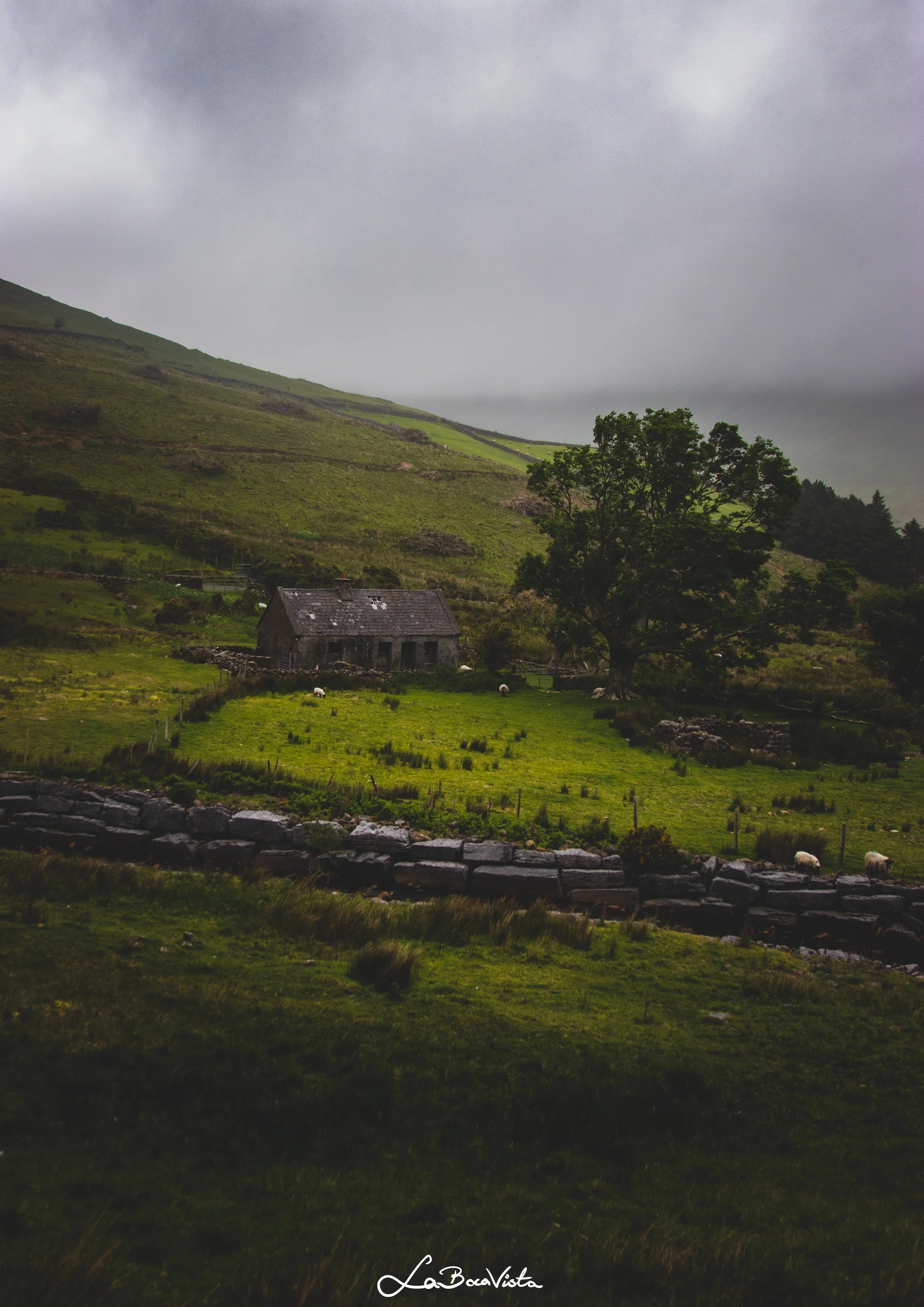 galway_08.jpg