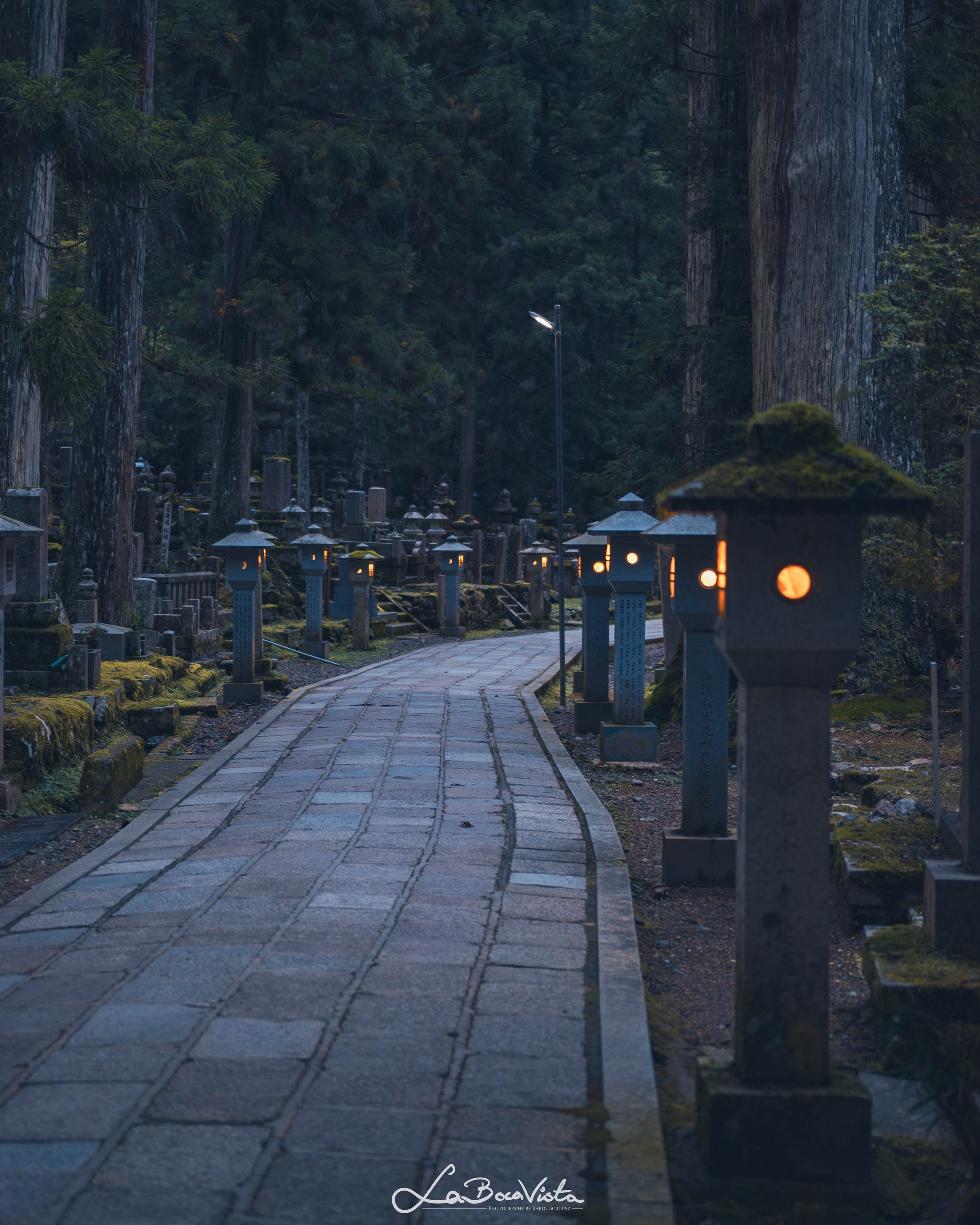 IMG_7492-Enhanced-NR_koyasan.jpg