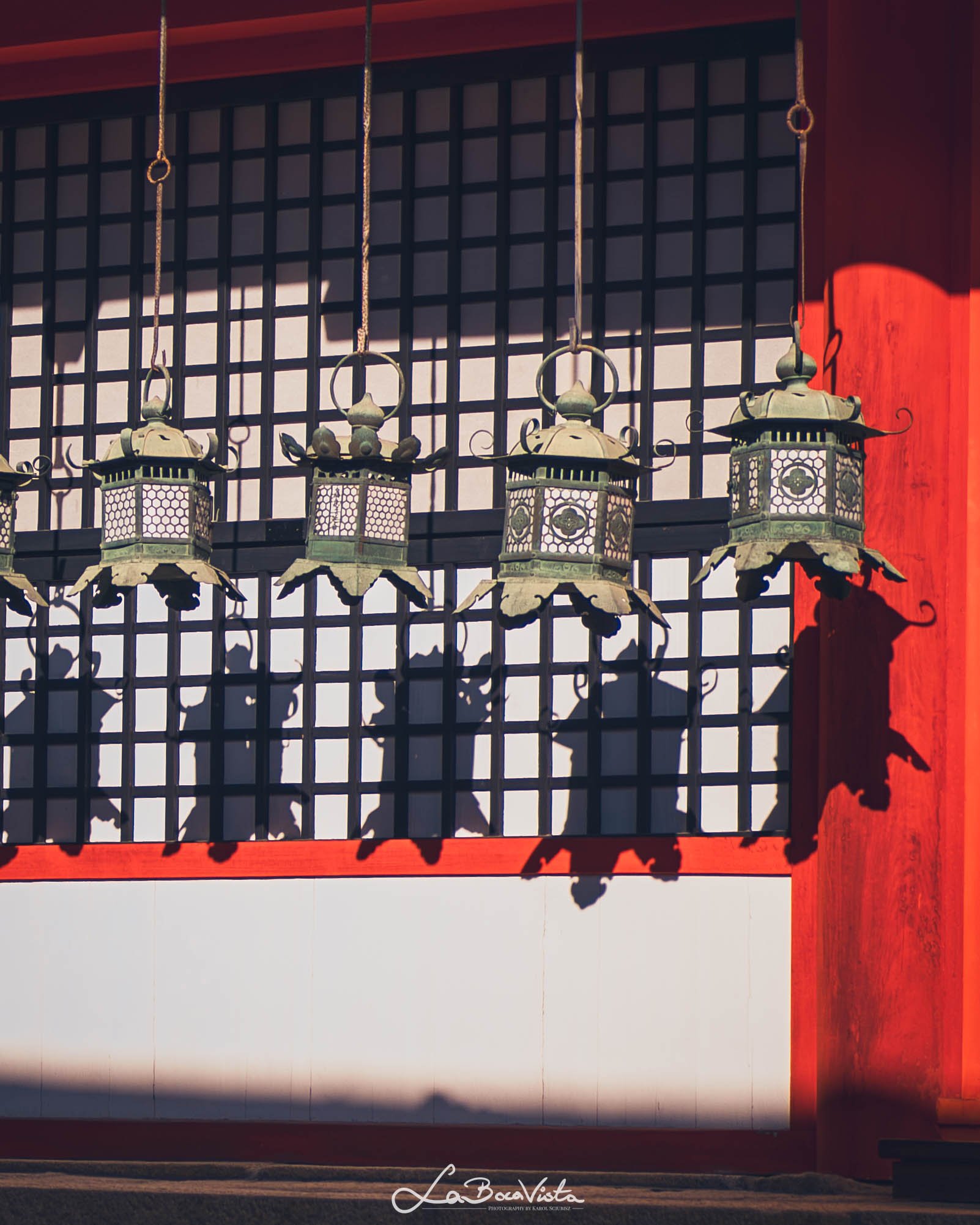 IMG_3125-Enhanced-NR_nara.jpg